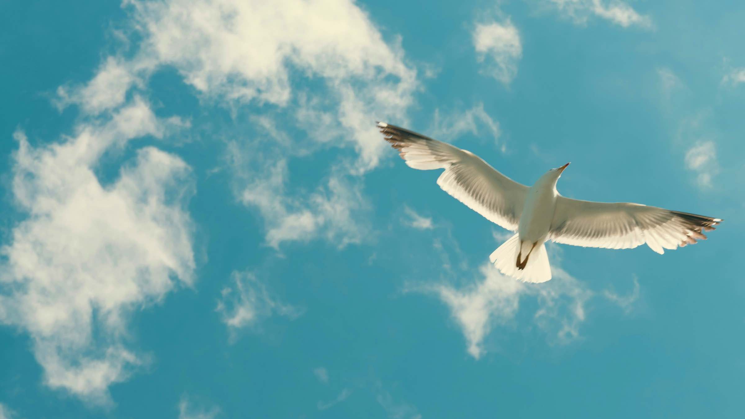 The Unthinkable Secret of a Quiet Mind