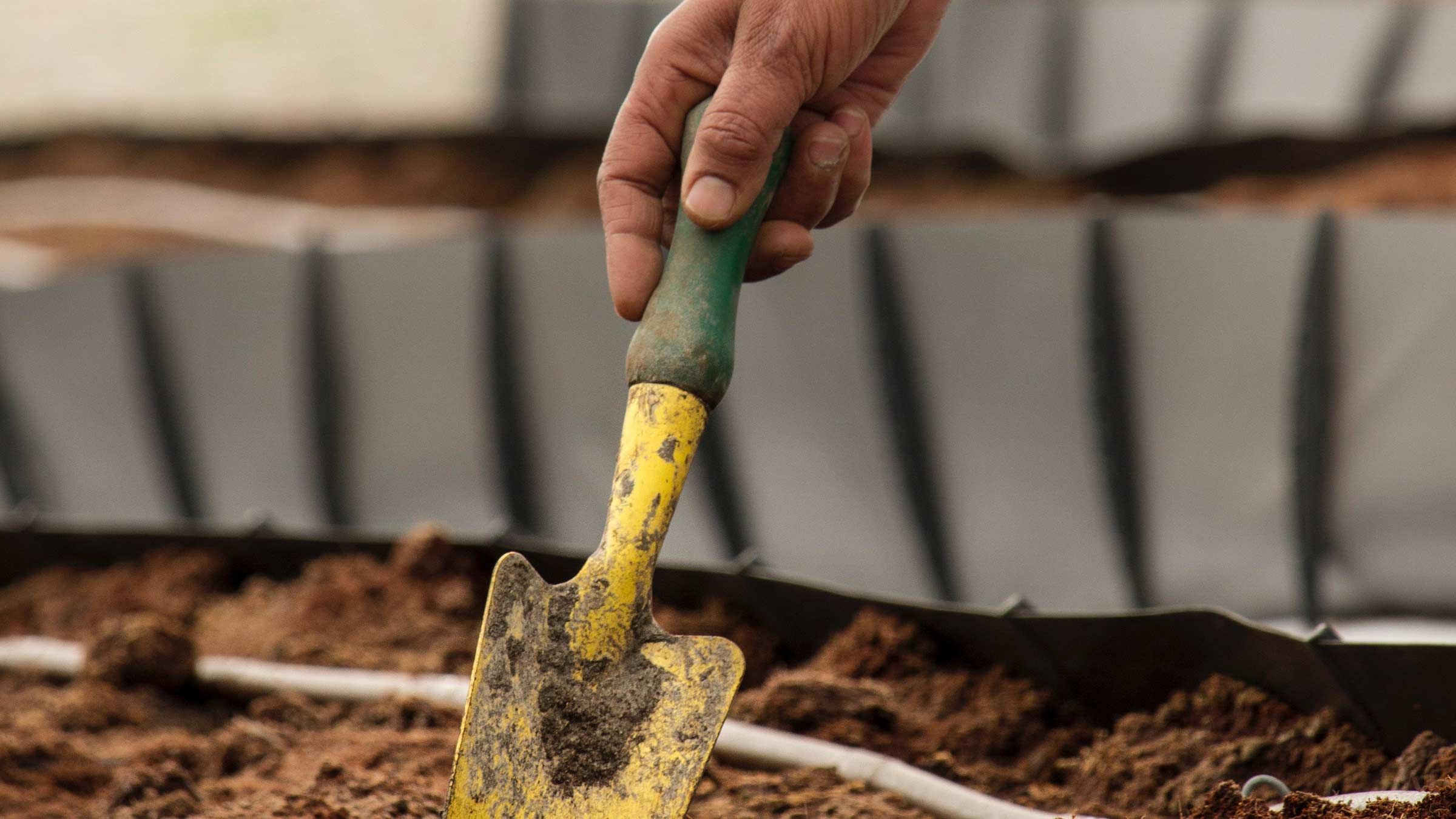 Stop Blaming and Start Digging
