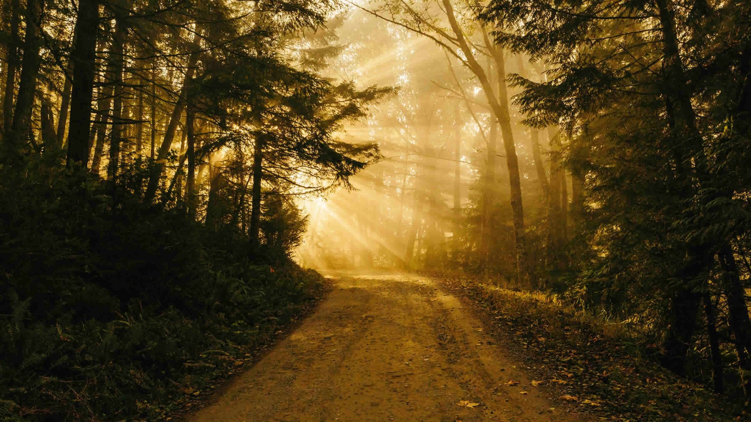 The Path and the Power of Divine Discernment