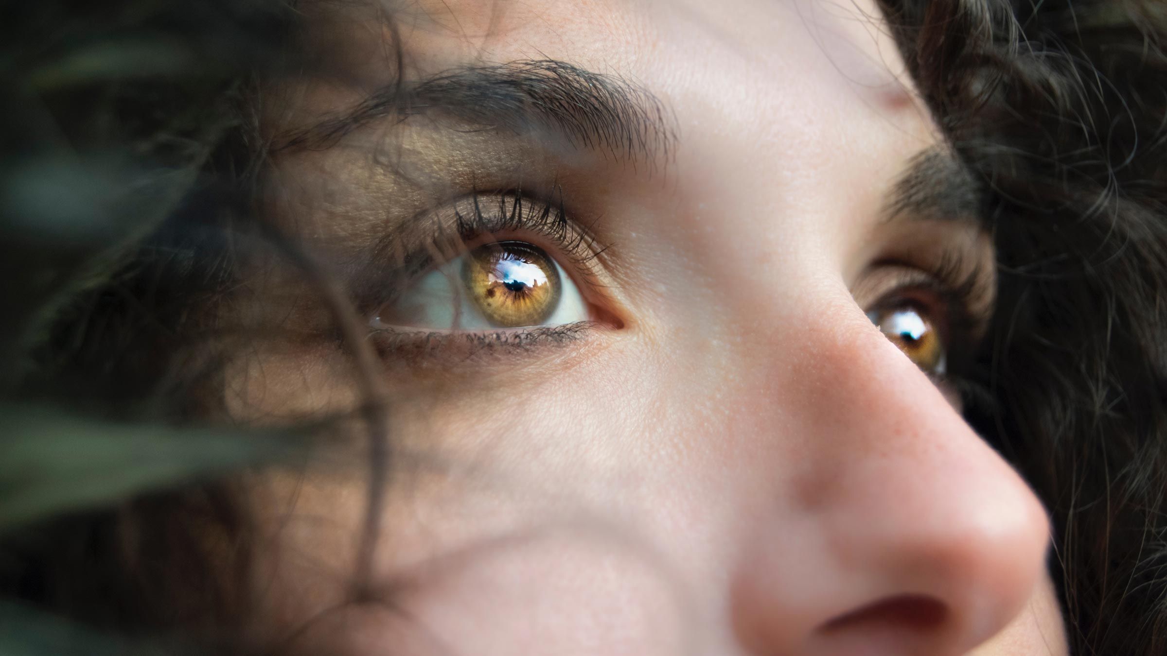 The Light is the Eye of the Body