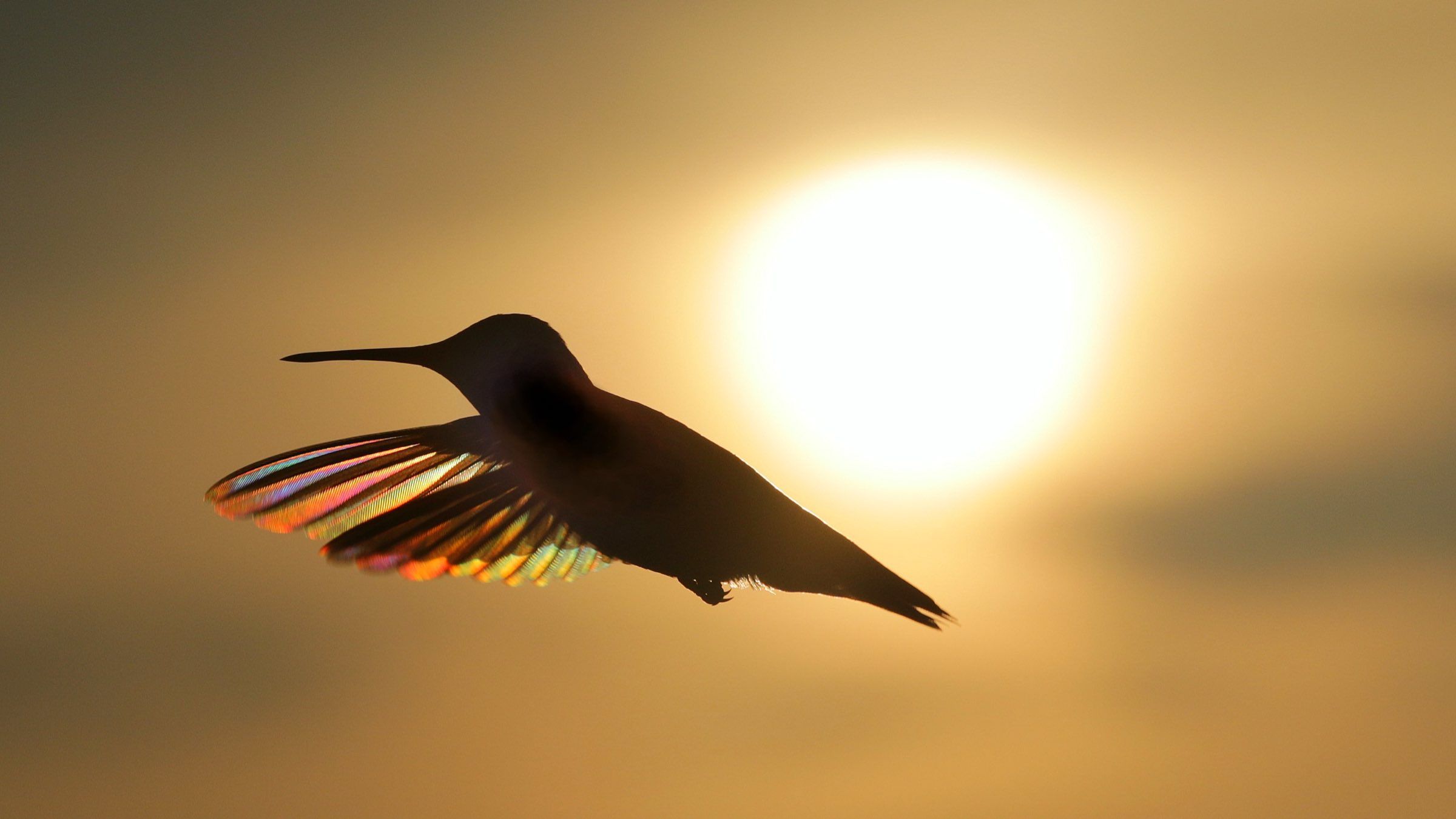 Turn the Fear of Limitations into Fearlessness