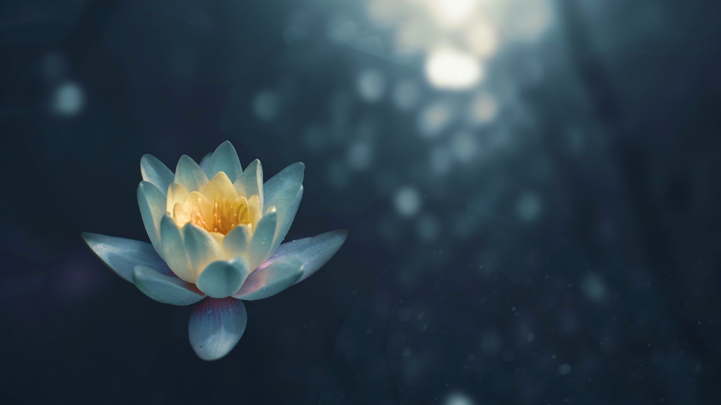 Take Meditation to the Next Level