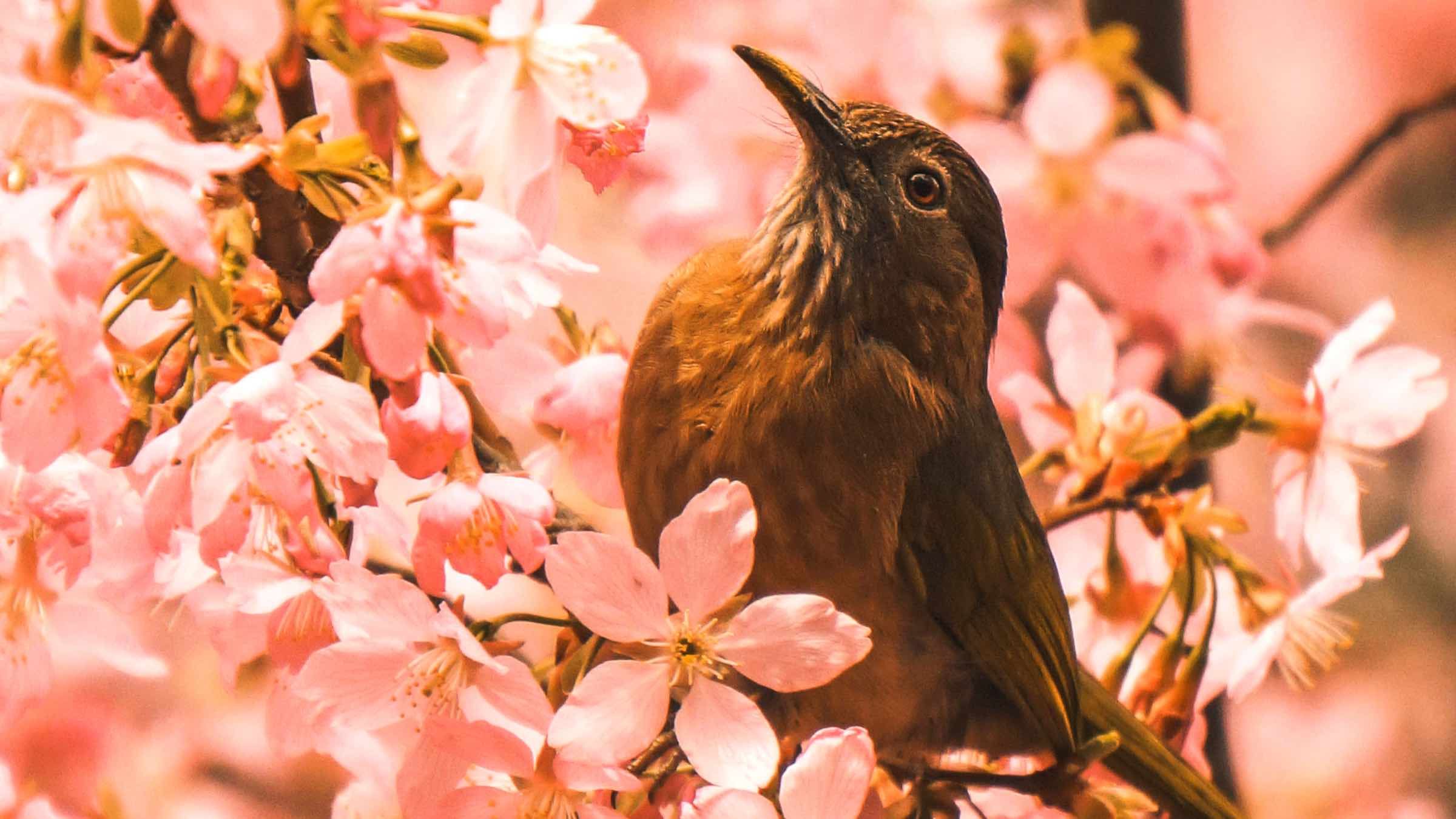 Unite Your Heart with the Will of Heaven and Be Made Whole