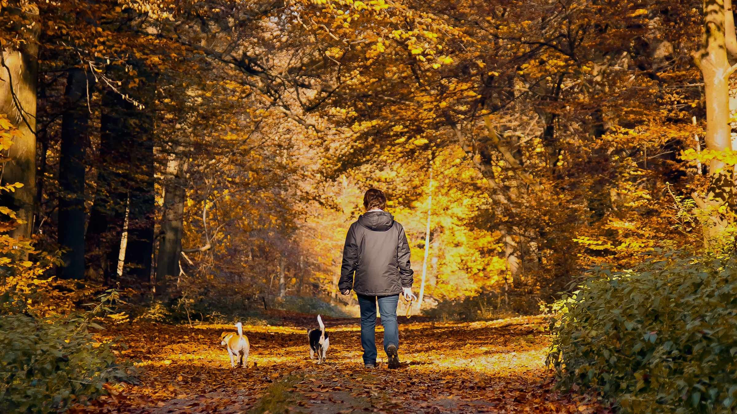 Walk Away From Painful Patterns