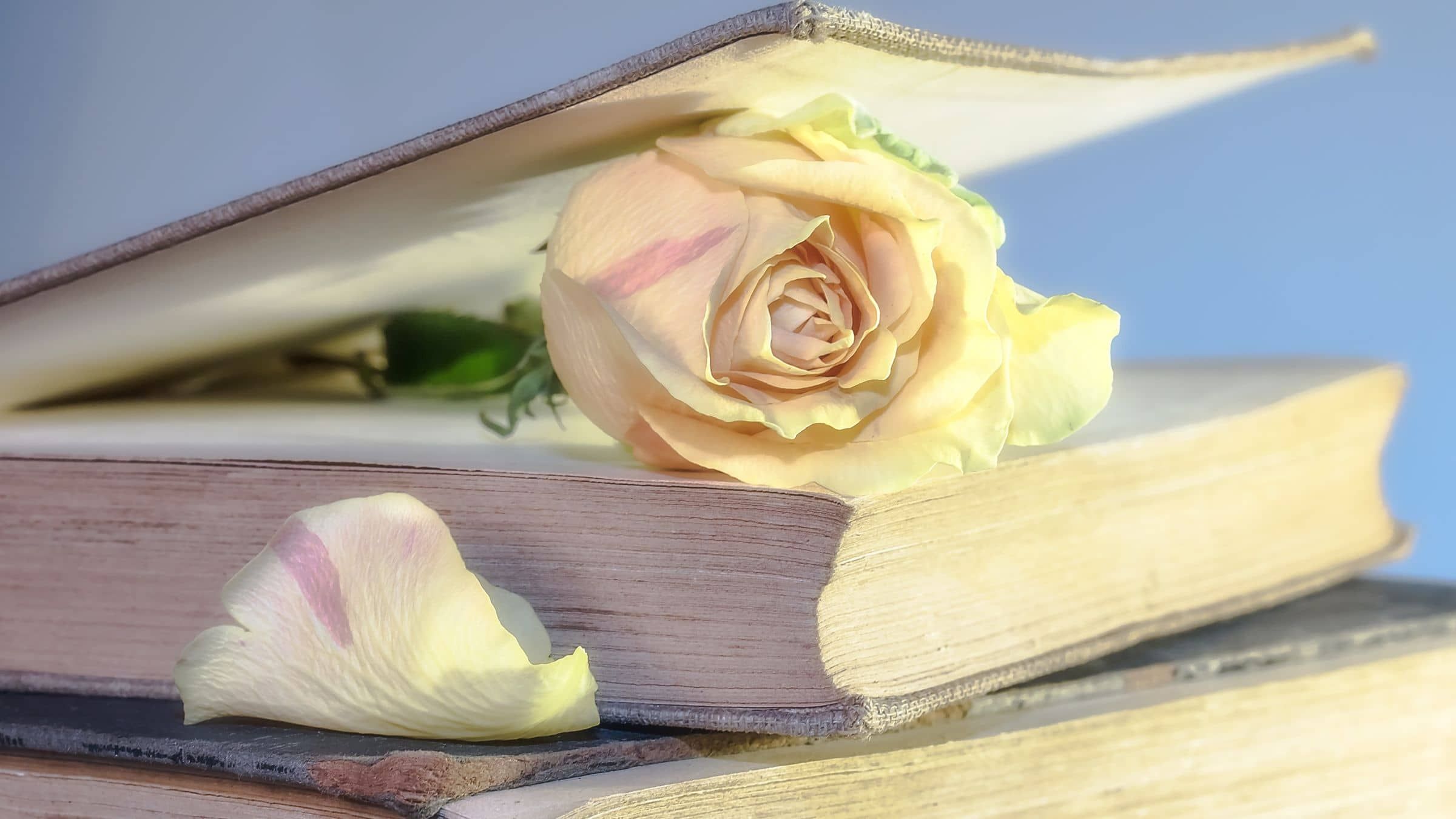 Share in the Whole Story of Your True Self