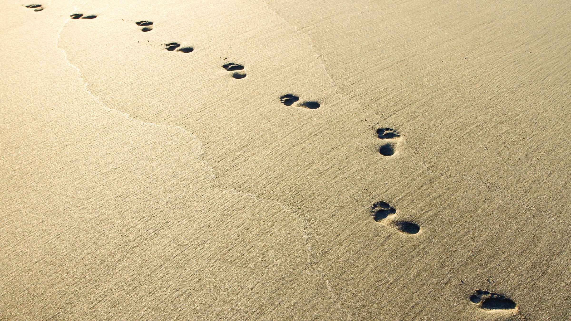Walk Into the World of Wonder Within You