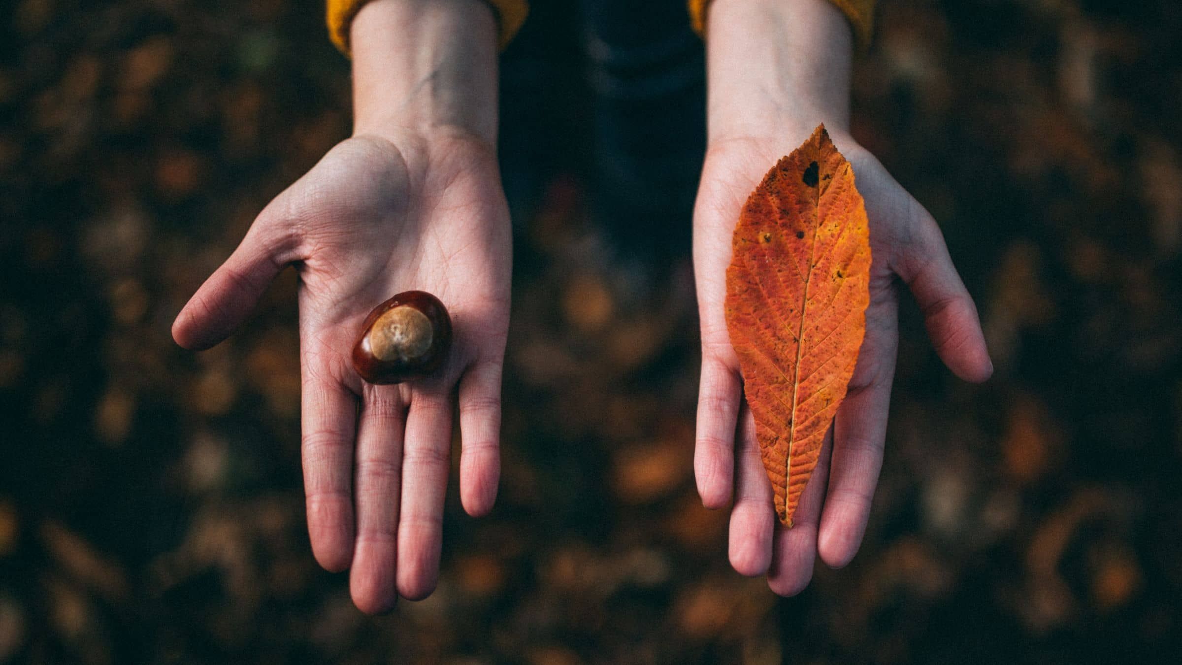 The Unseen Seed of Self-Compromise