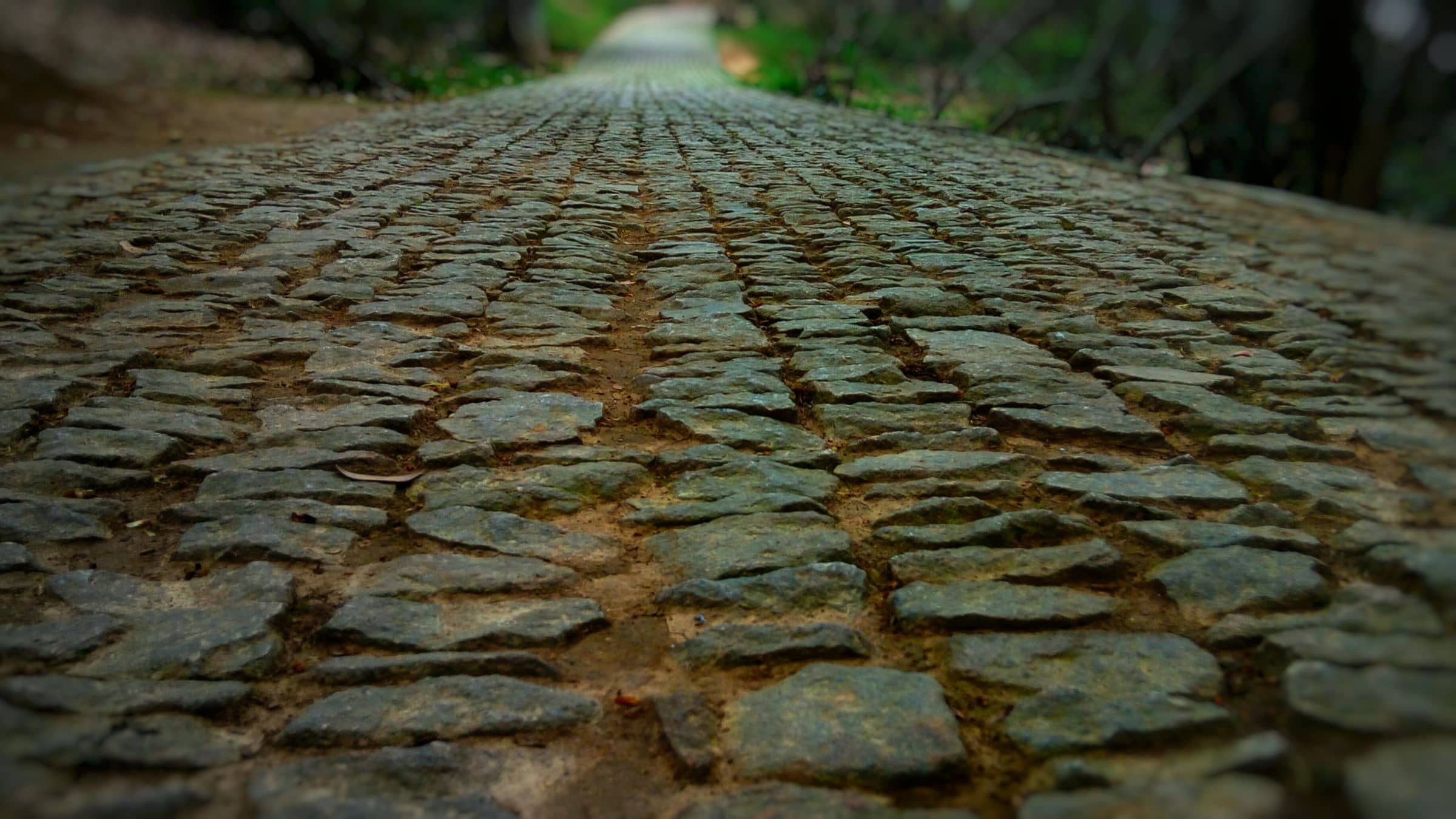 Stay Off the Road That Leads to Misery! (Student Talks)