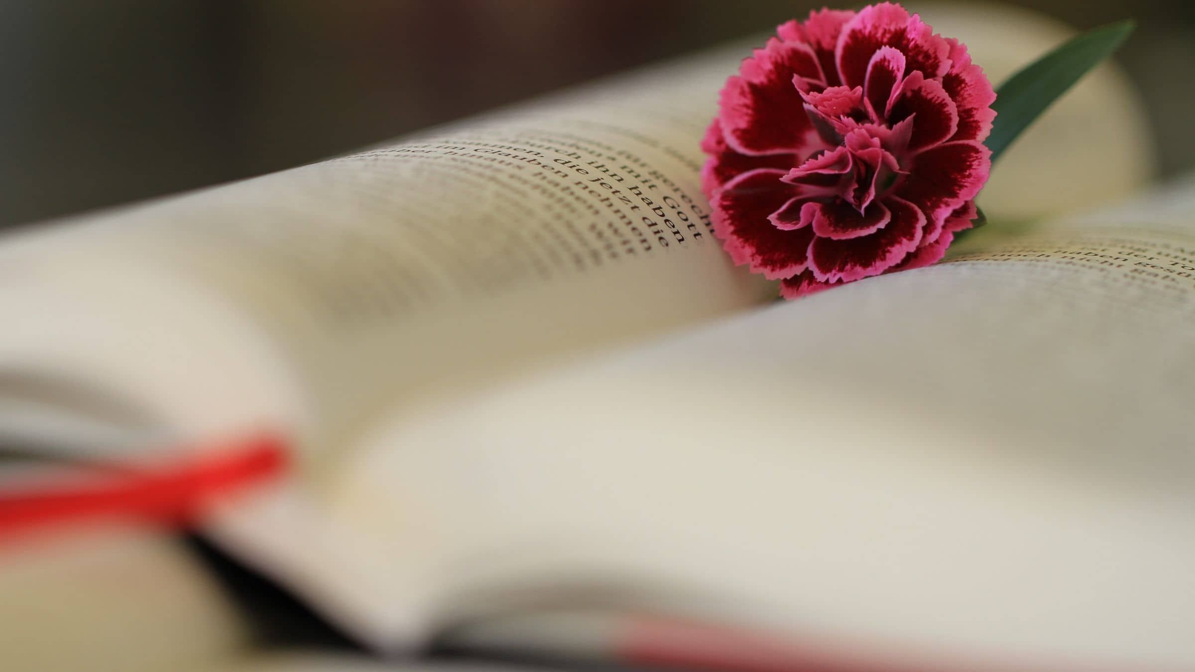 The Secret Story Hidden in the Beatitudes
