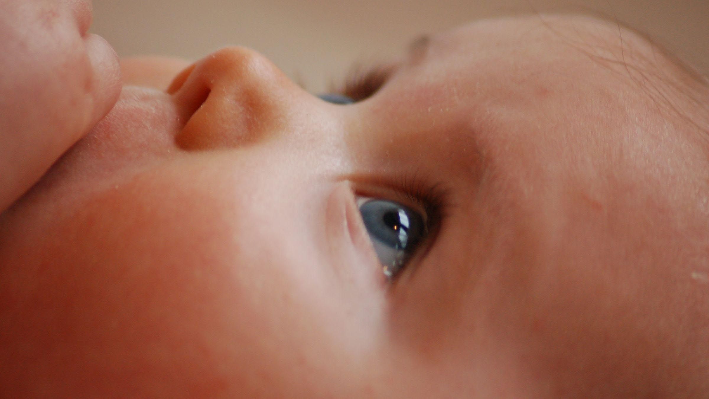 See What God Wants to Give Birth to in You