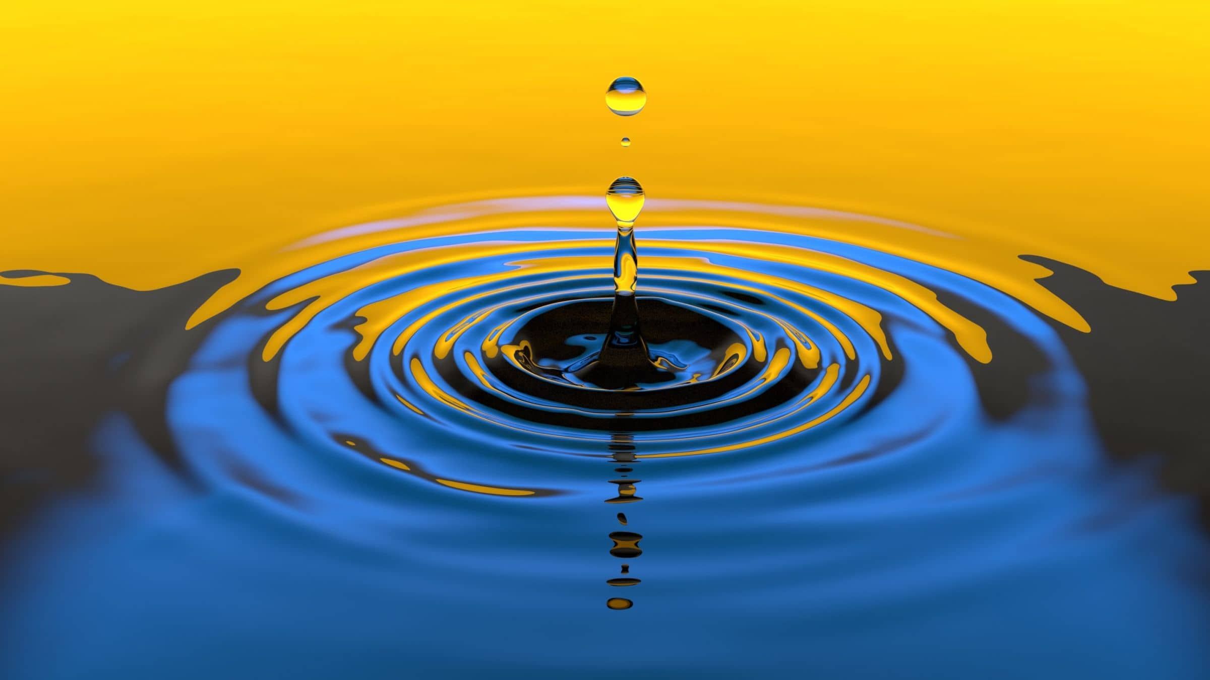Truth is a Single Action That Sets You Free