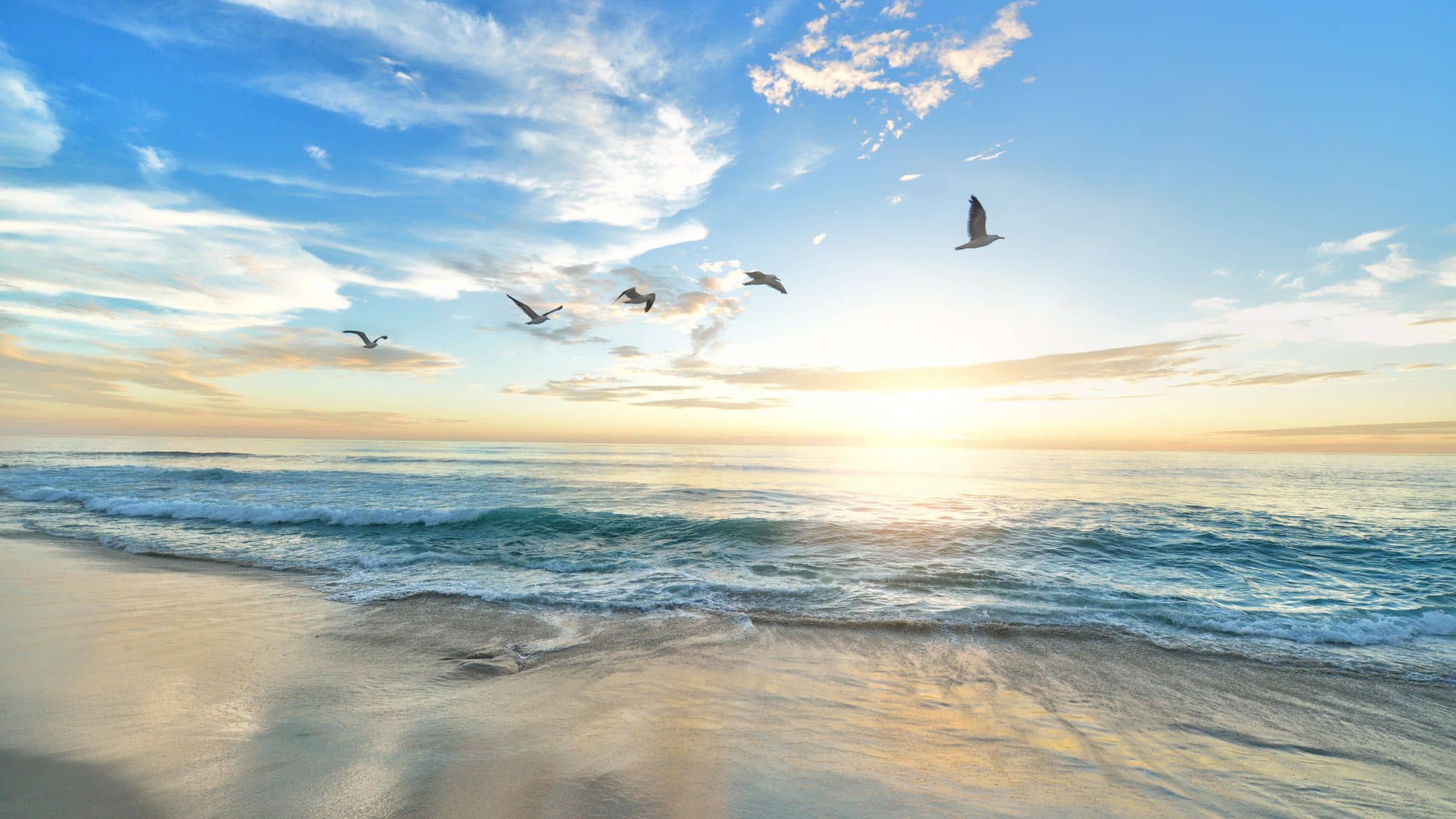 Liberation From Reincarnation