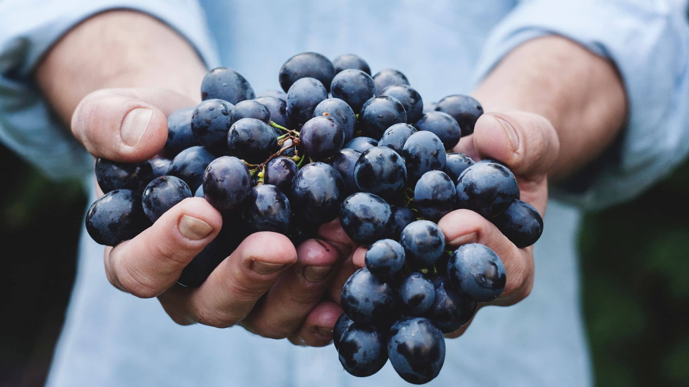 First, Second, and Third Stages of Nourishing the Soul