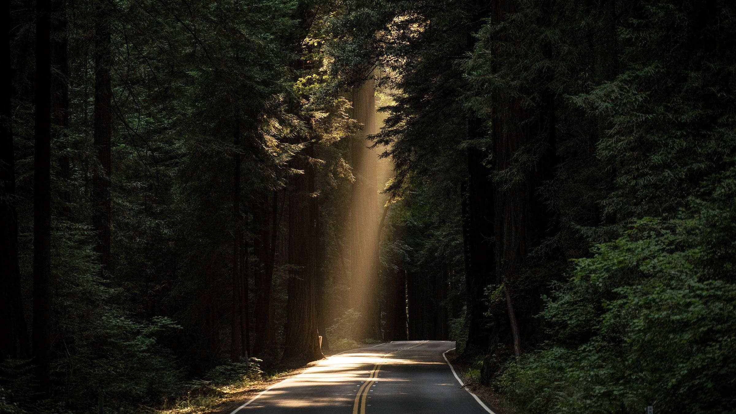 The First Great Law of Spiritual Development