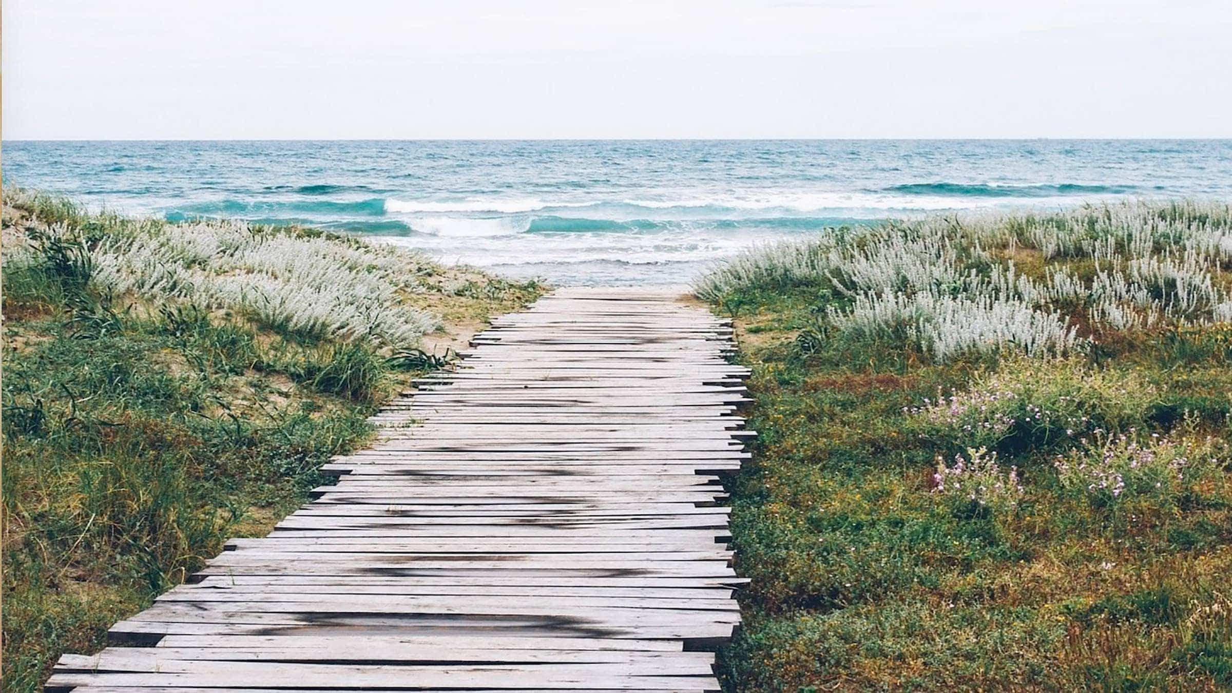 Awaken the Will to Walk Away From False Thoughts and Feelings