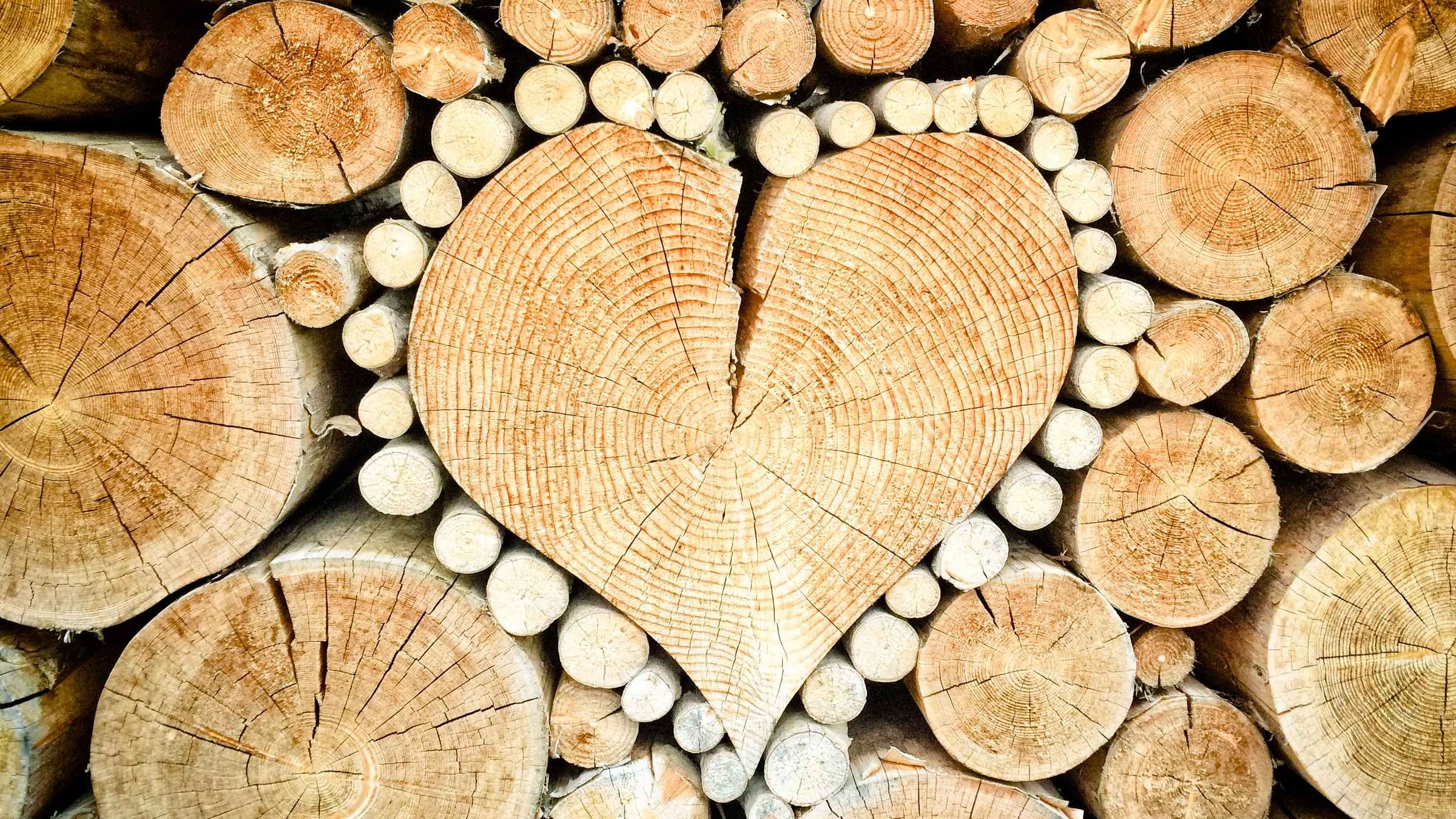 By What It Gives Itself To...Is The Heart Filled