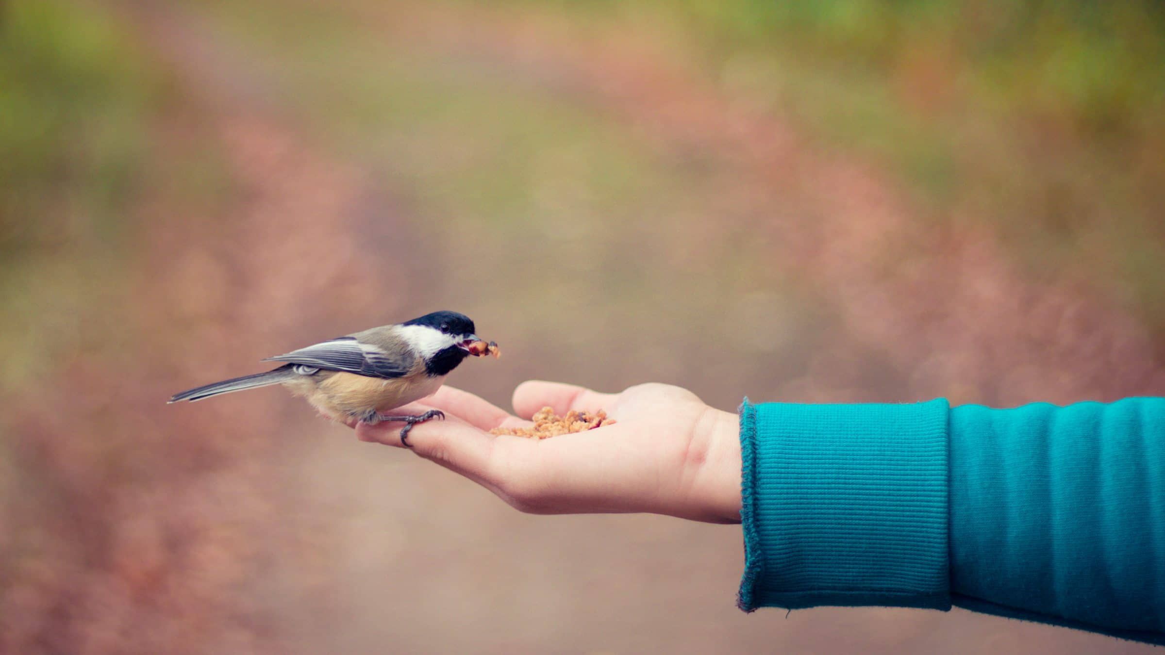 True Caring Begins with True Seeing
