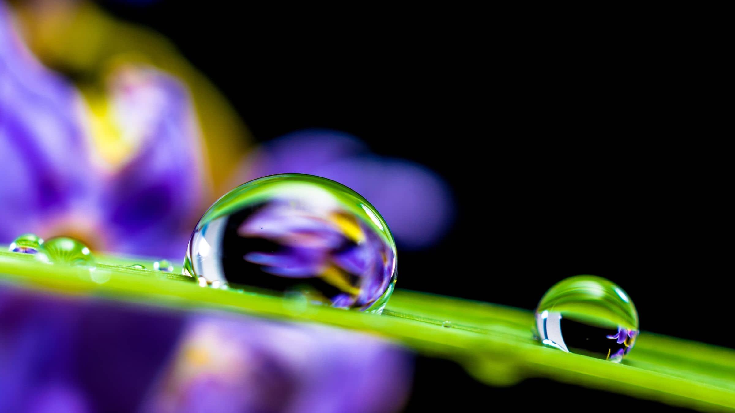Enter the Timeless Place Where Wholeness Awaits You