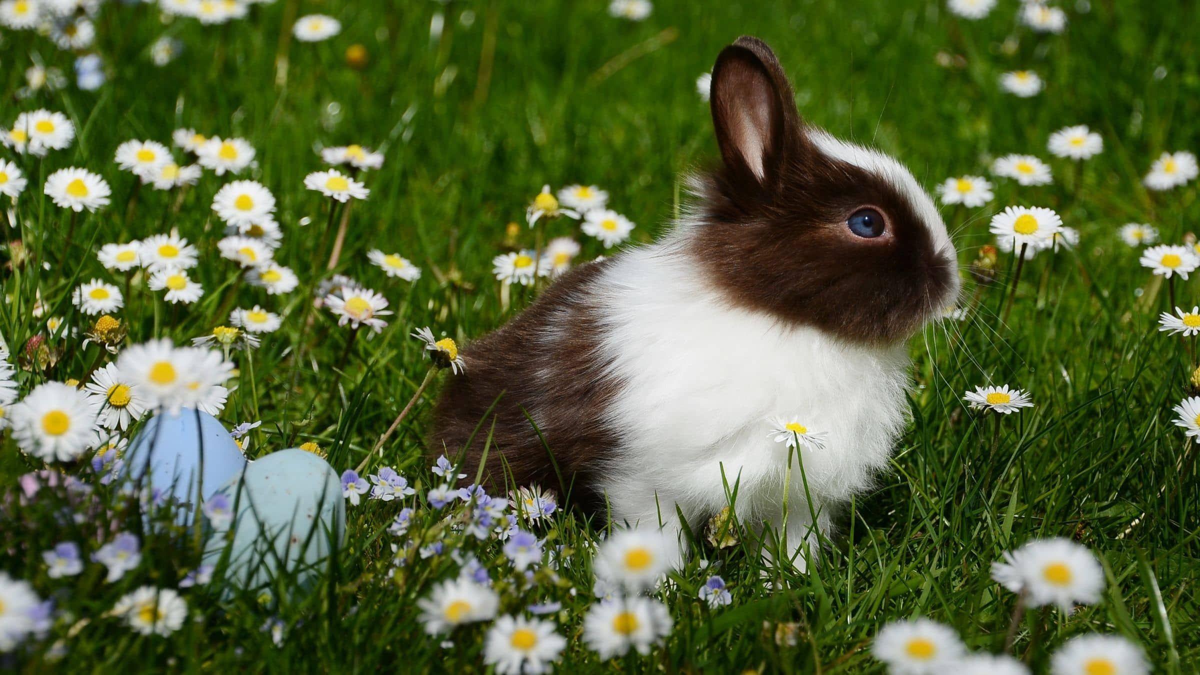 A Special Easter Talk