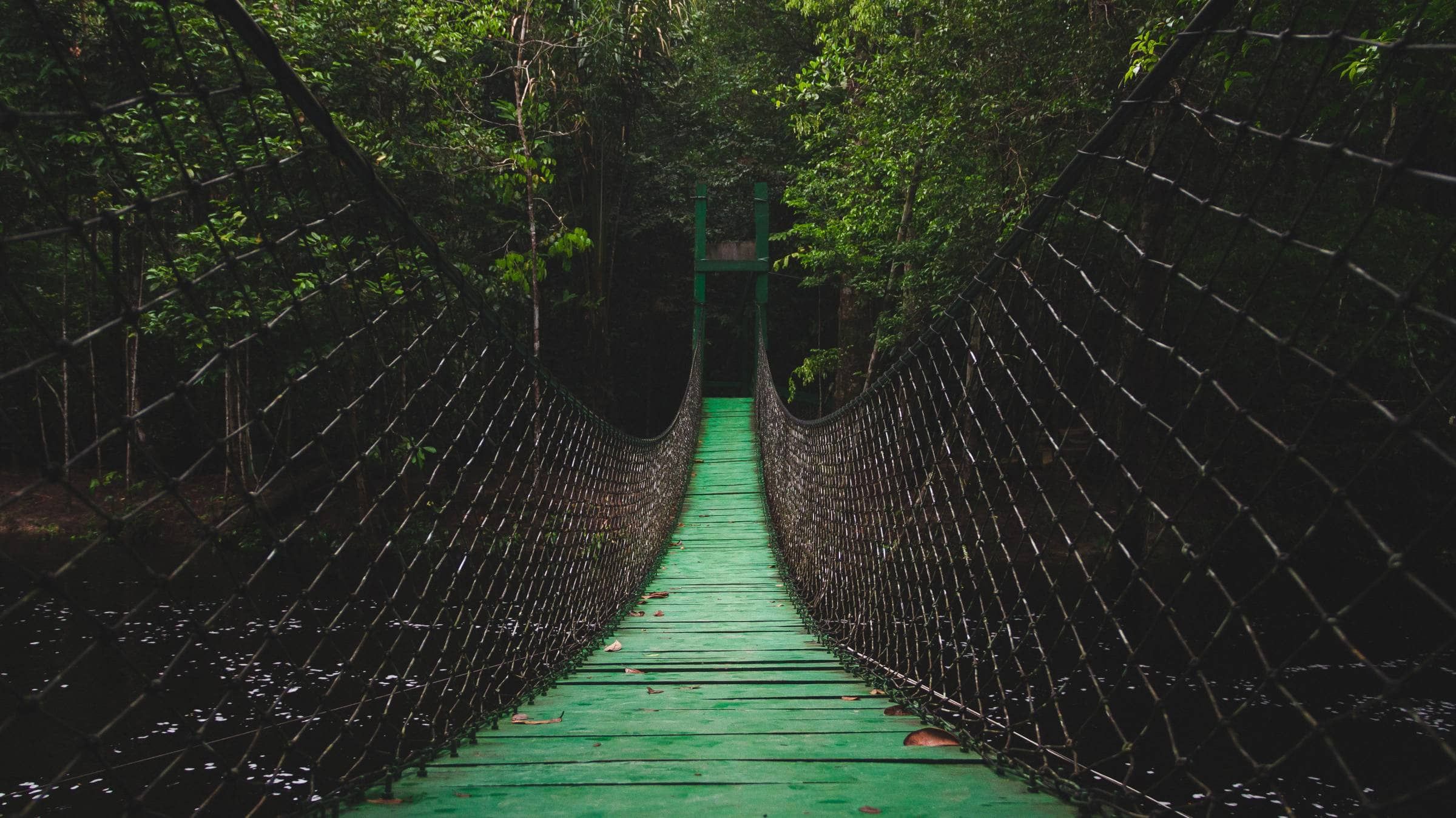 The Bridge of Being