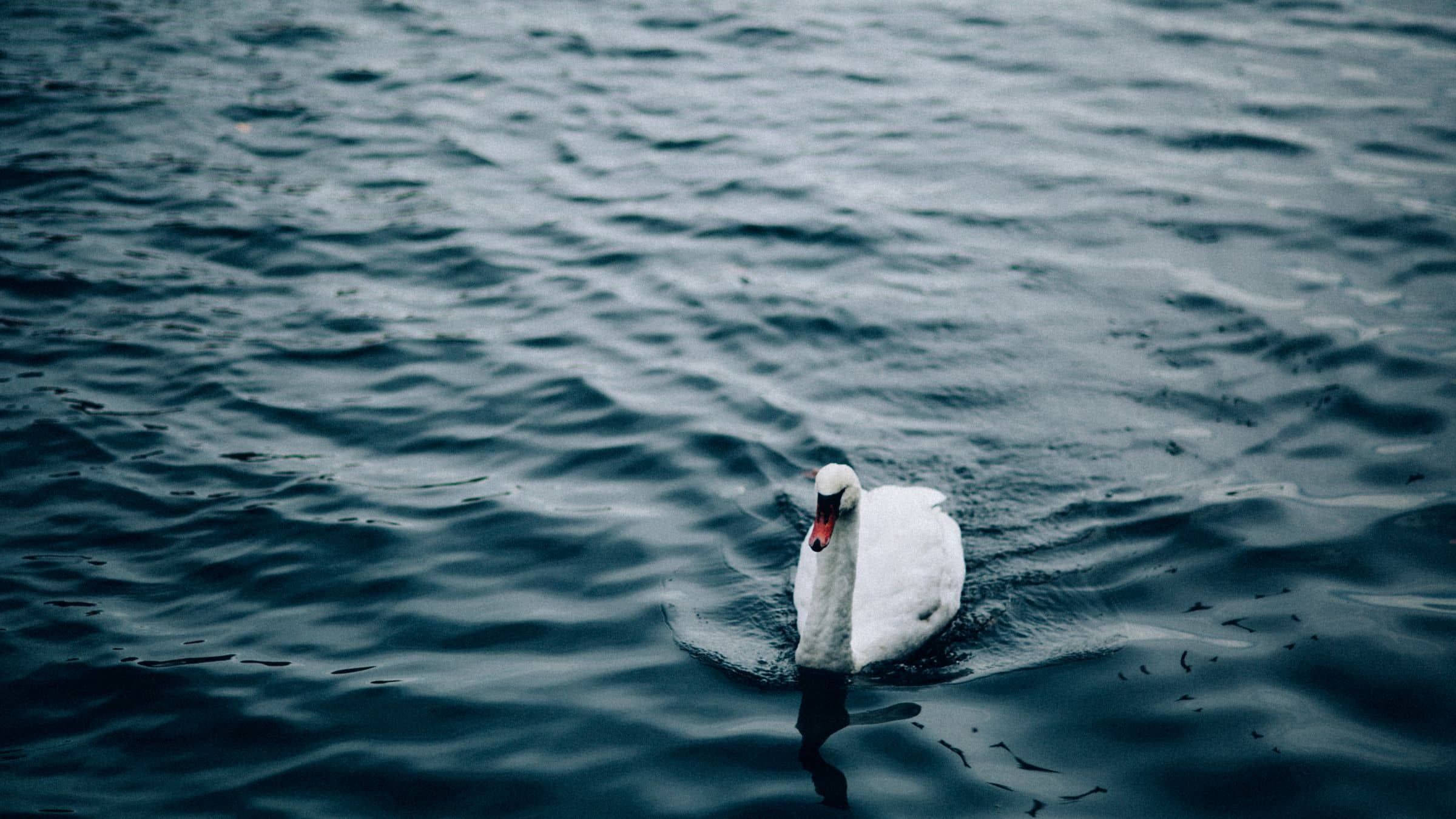 Find the Freedom Without Direction