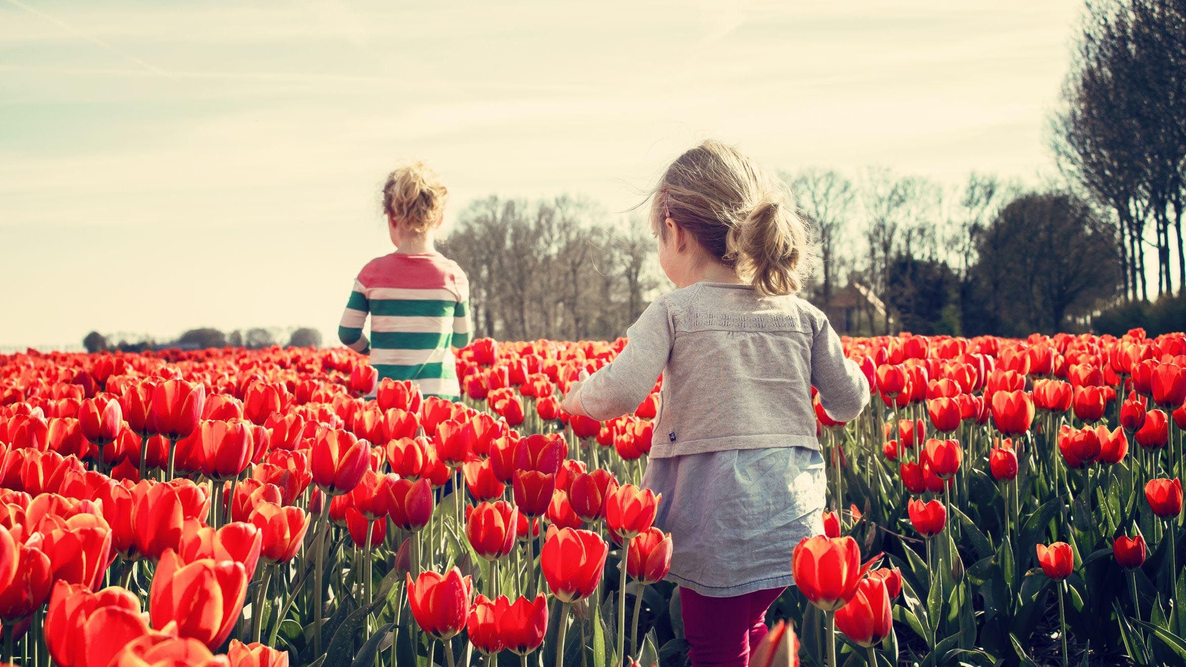 Forty Ways to Determine Your Level of Inner Freedom