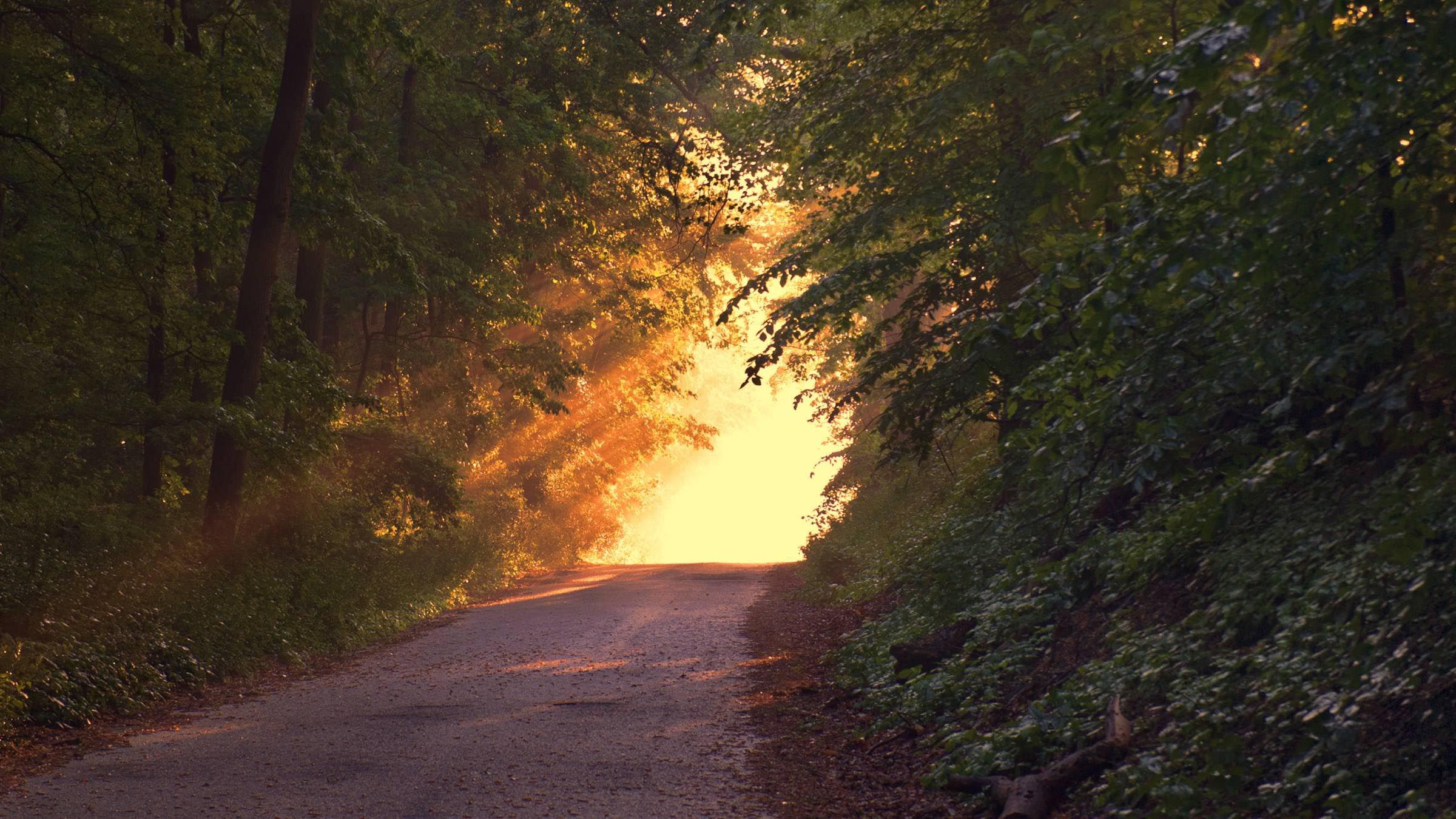 Higher Lessons in the Nature of Light