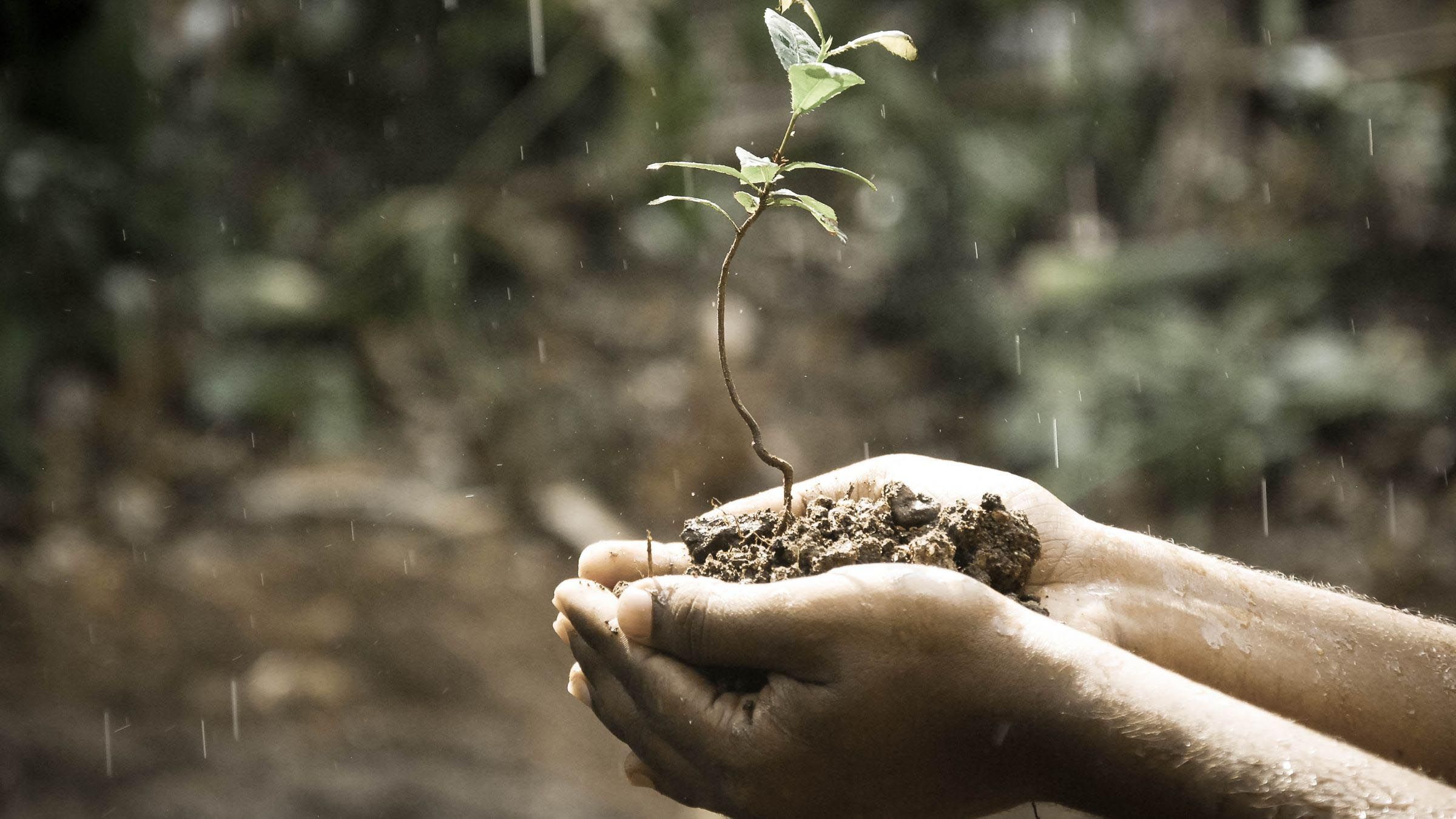 A Magical Prescription for More Positive Living
