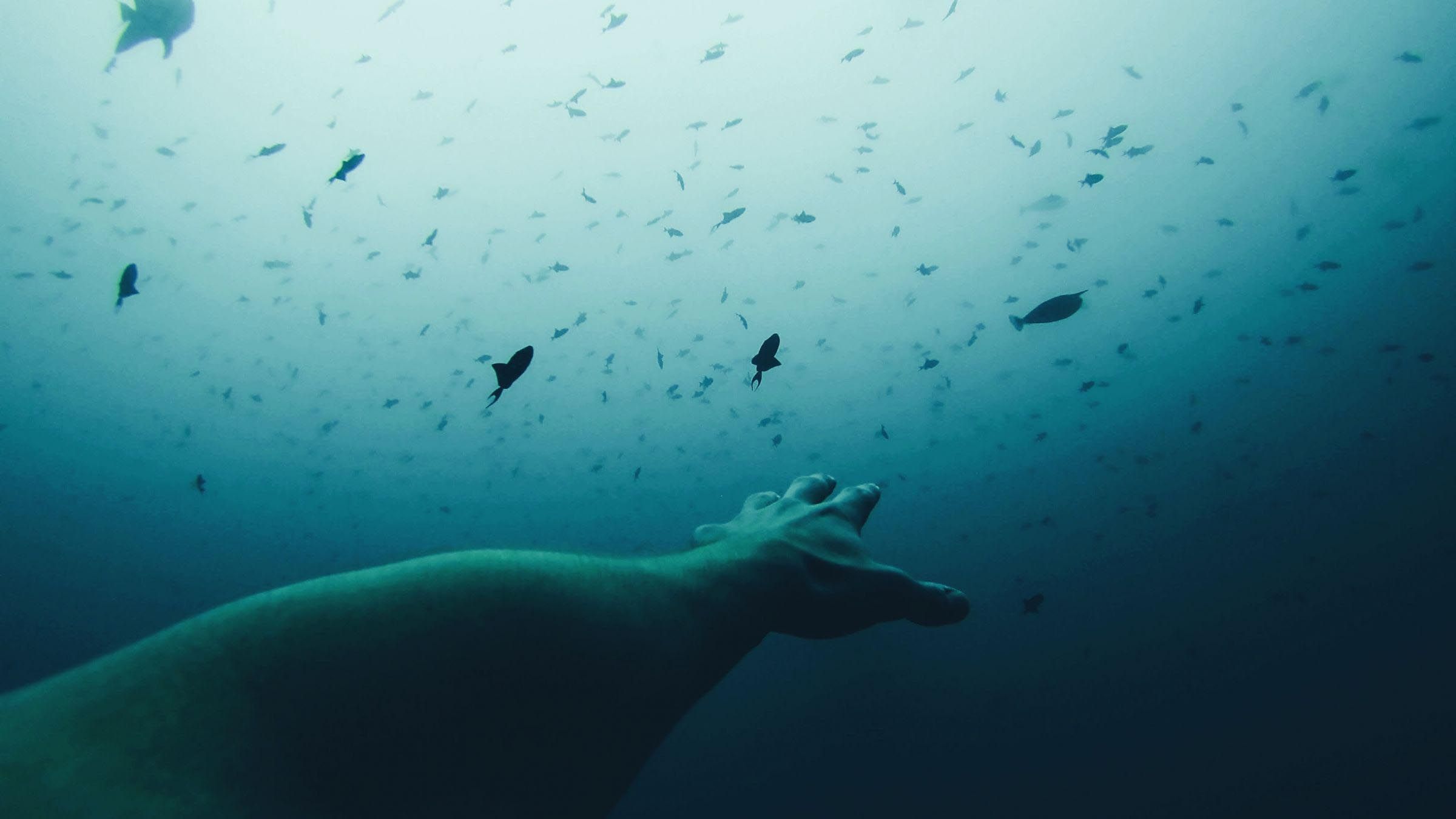 Change Forever Your Relationship with Fear