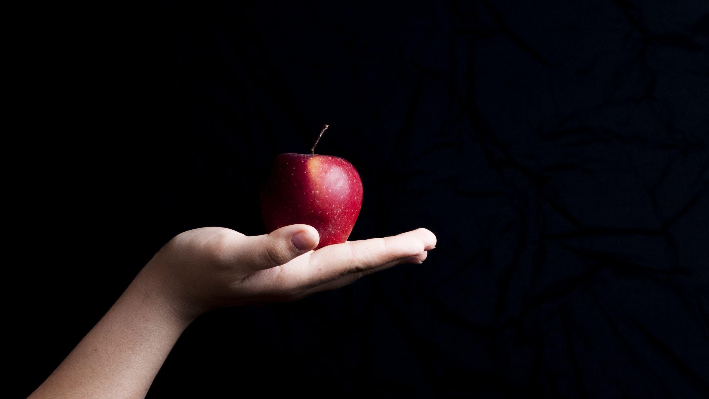 The Truth About Temptation: A Short Lesson on the Lord's Prayer