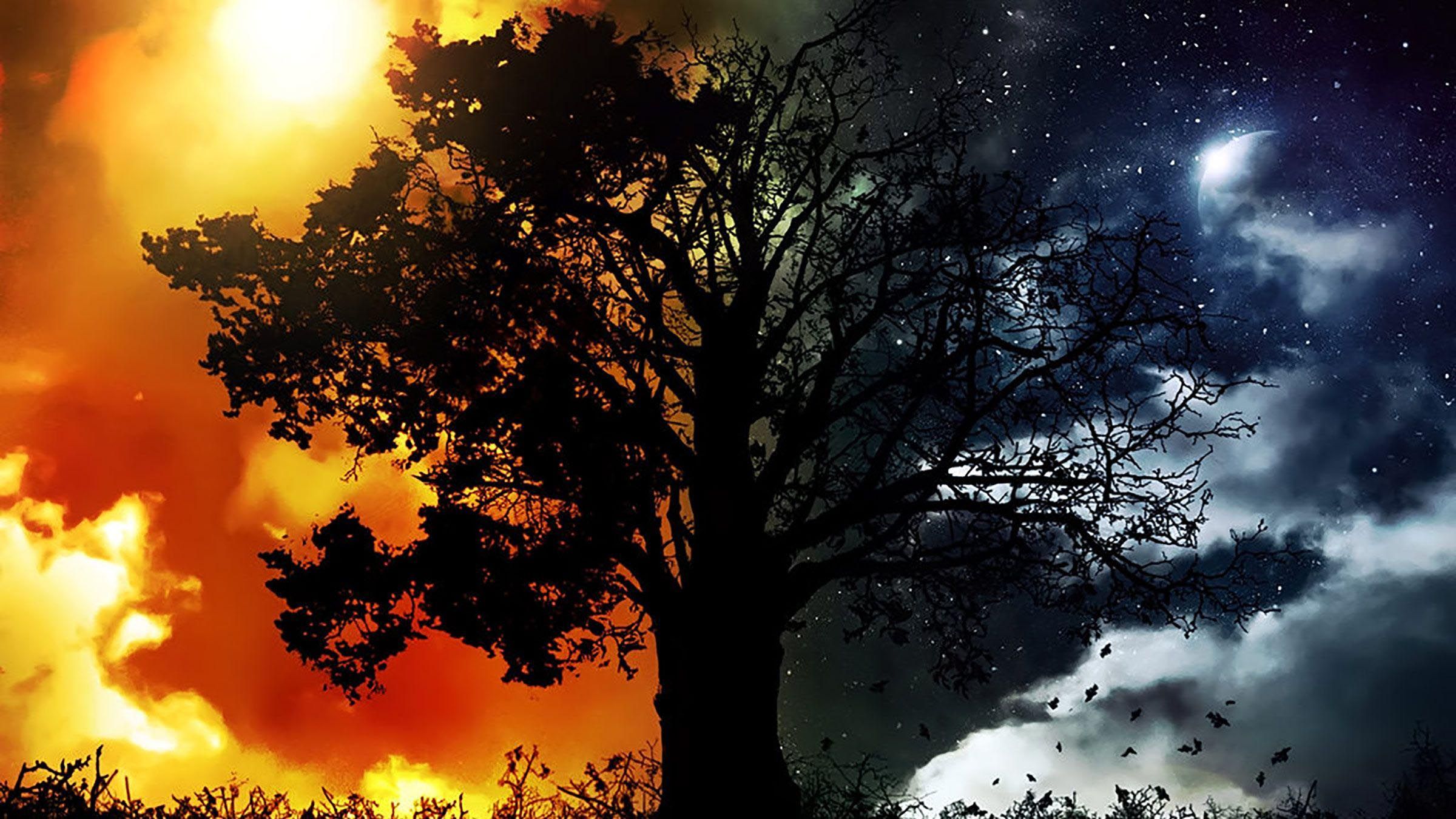 The Courage to Be Free of Negative States