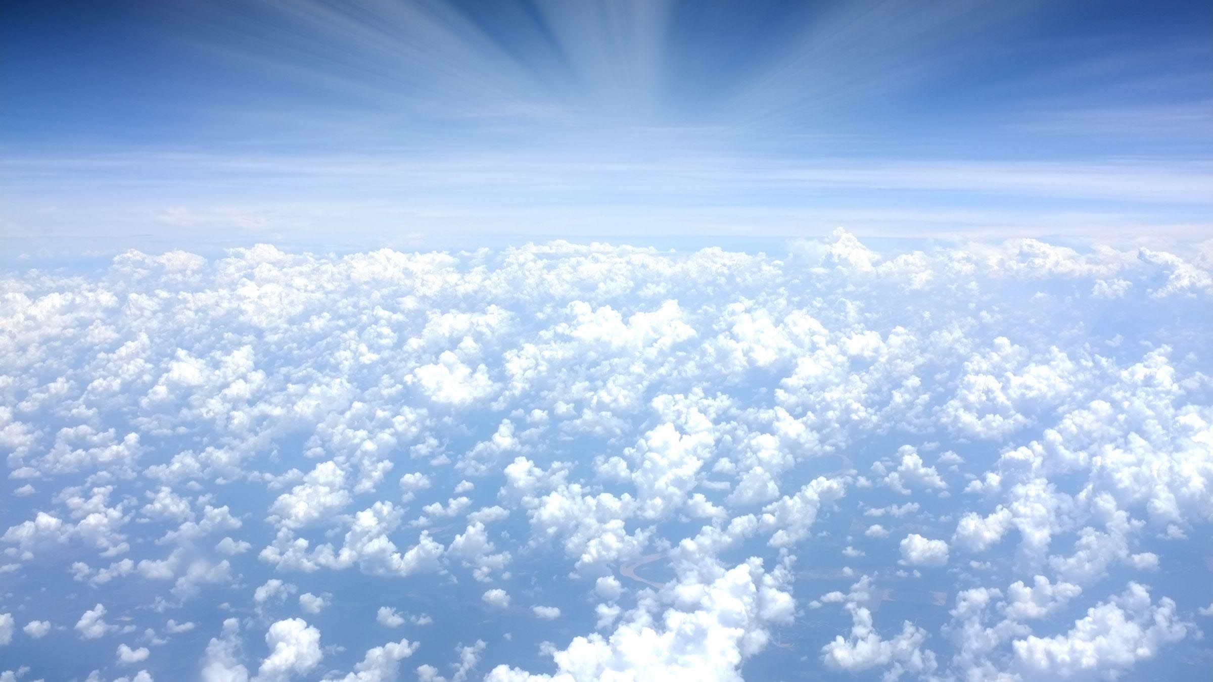The Flight of Freedom