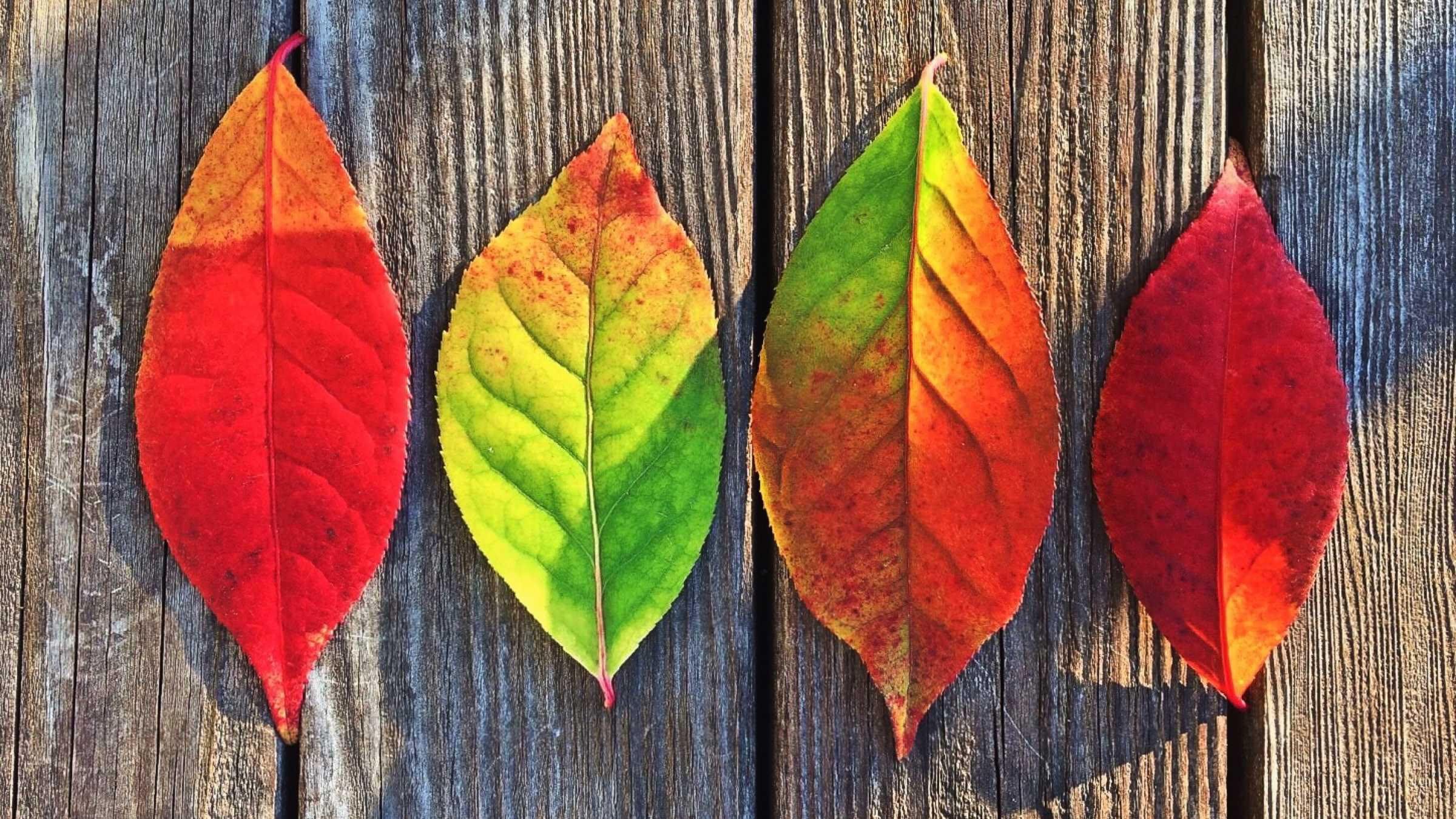 You Don't Have to Fear Changes If You Change With Them