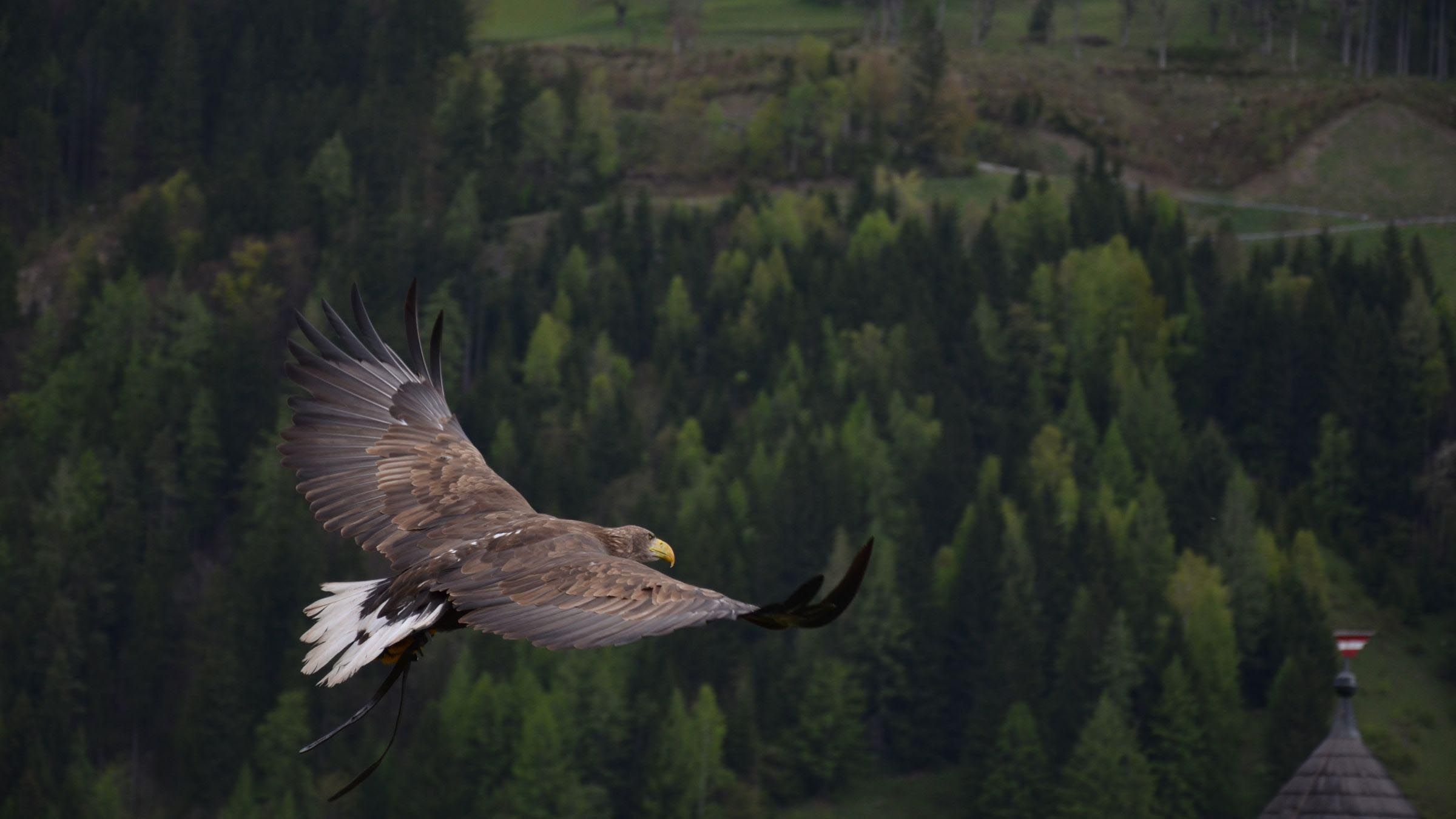 Four Facts to Help Liberate You From the Lie of Fear