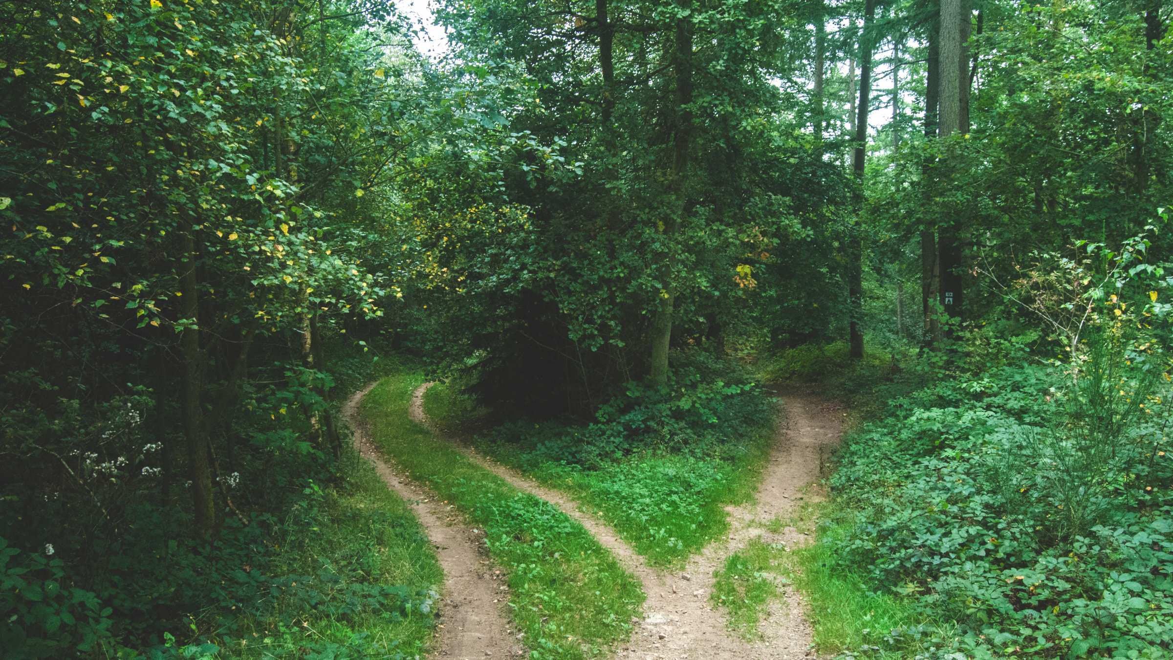 The Unthinkable Path to Being 