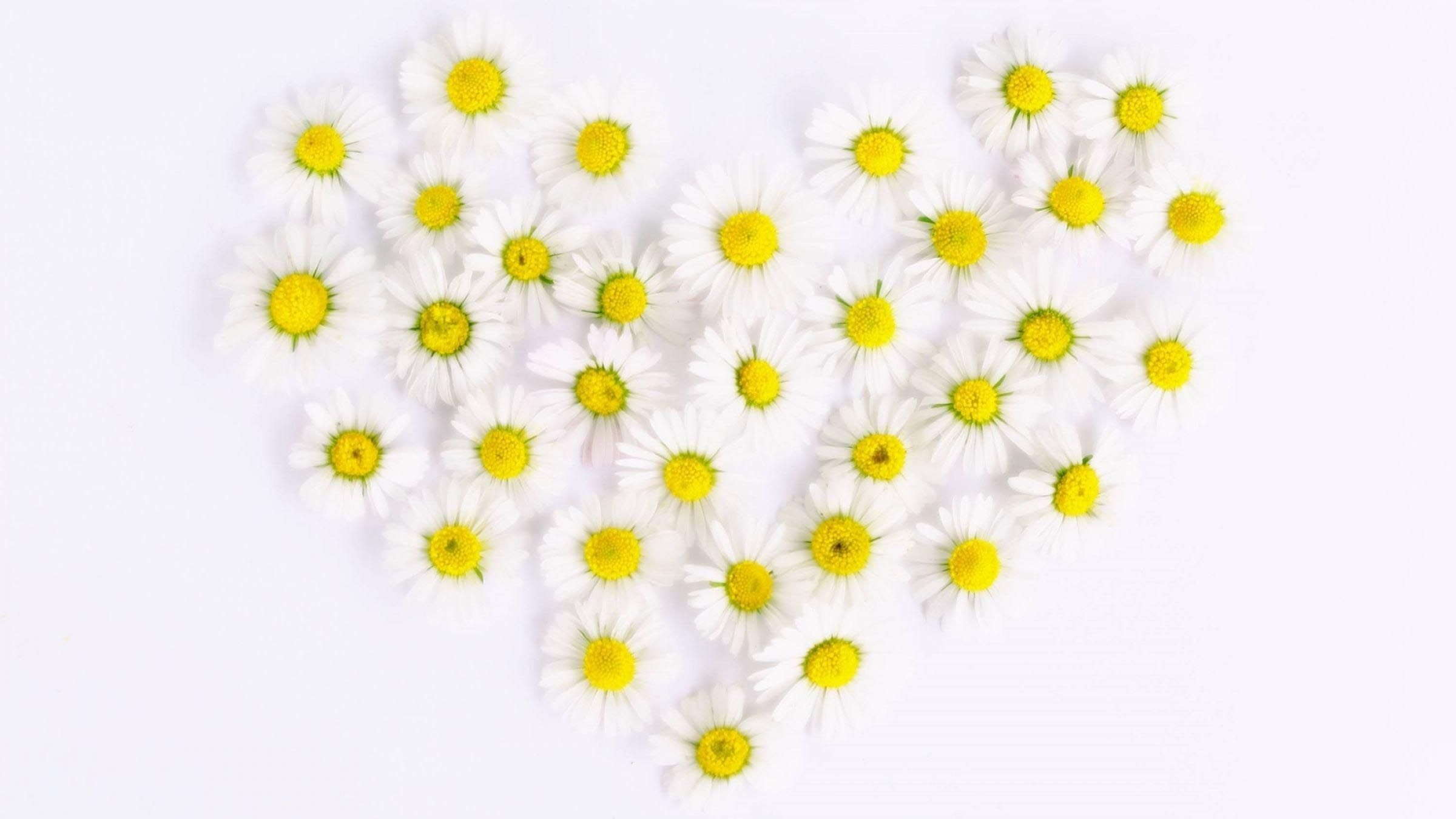 How Self-Command Gives Rise to Compassion