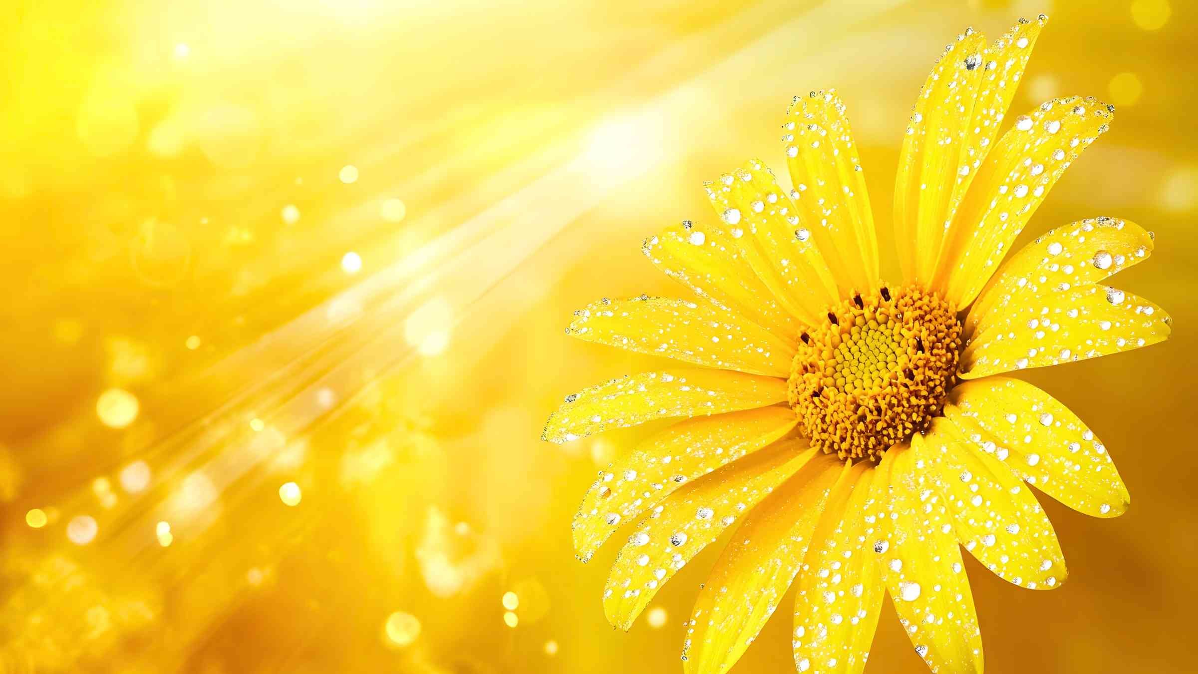 Advanced Lessons for Living in the Light