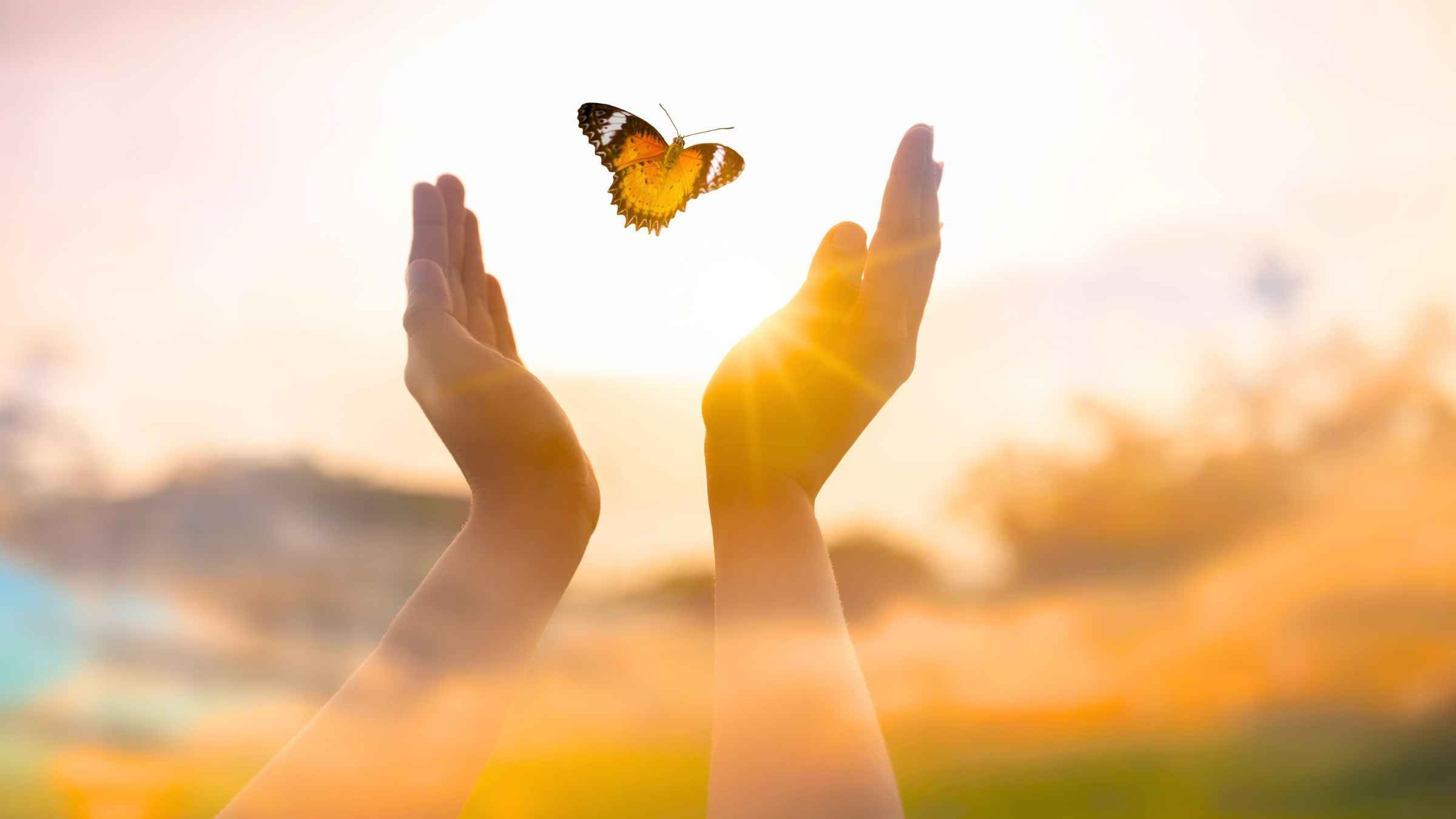 Make the Right Request and Release Yourself From Fear
