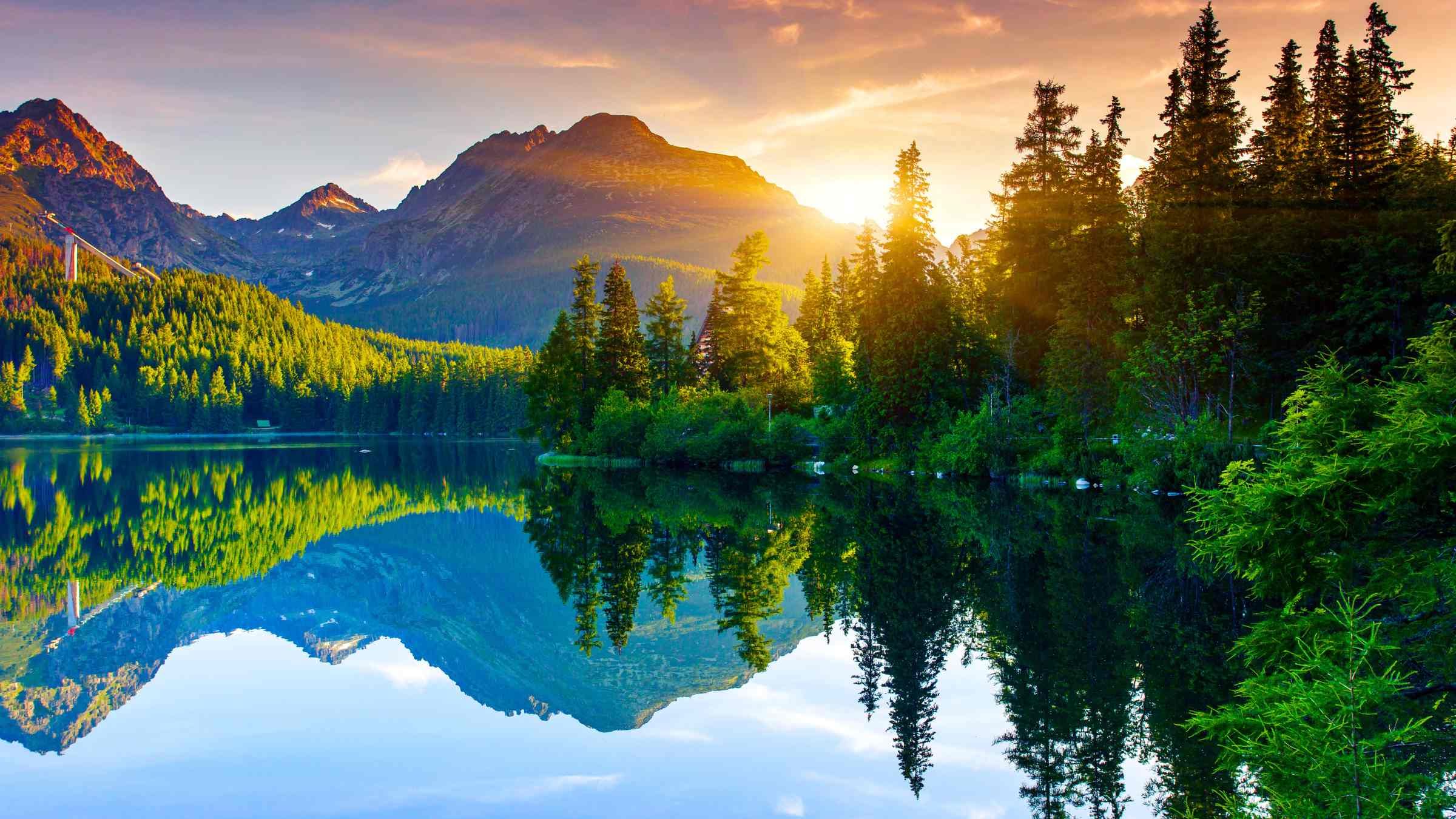Being Present to Pure Presence