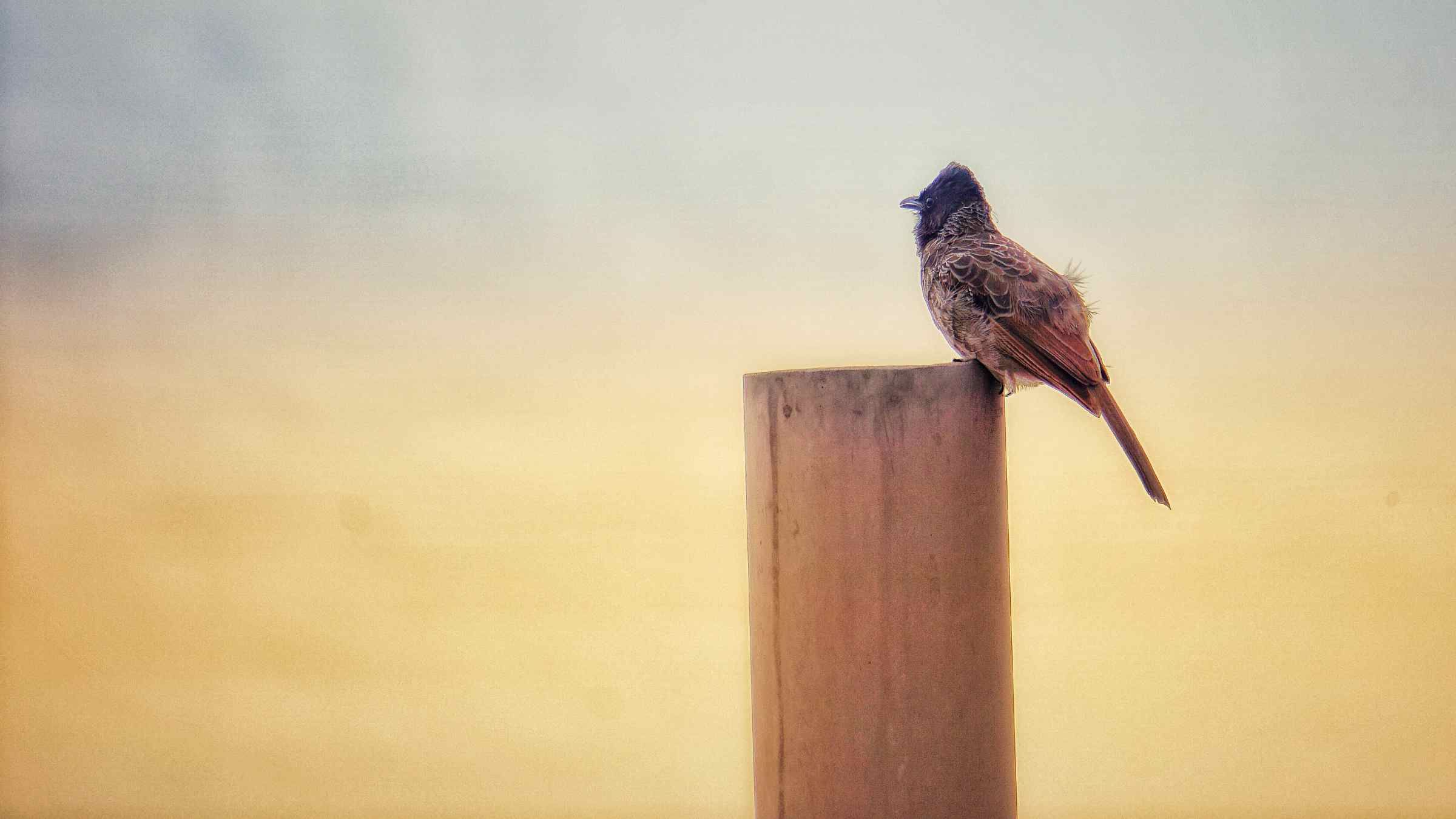 The Inner Path to the Perfection of Self