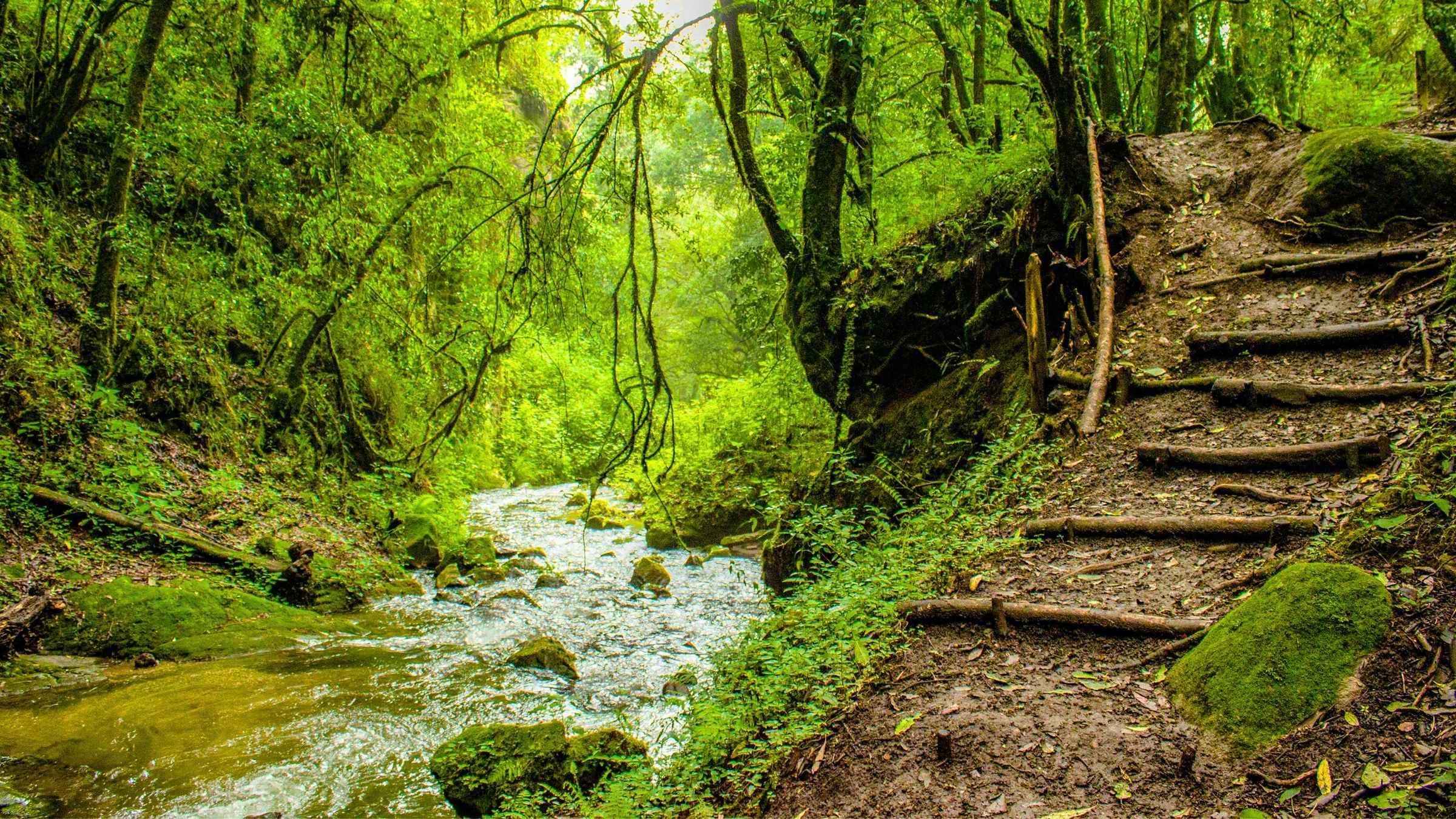 The Secret Path to Self-Perfection