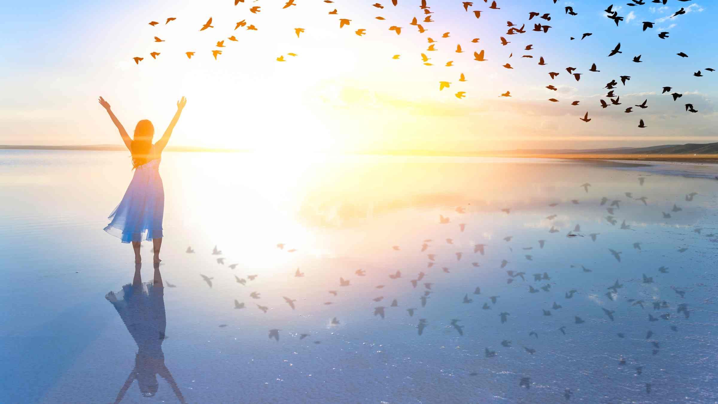The Freedom to Find Your Heart's Desire