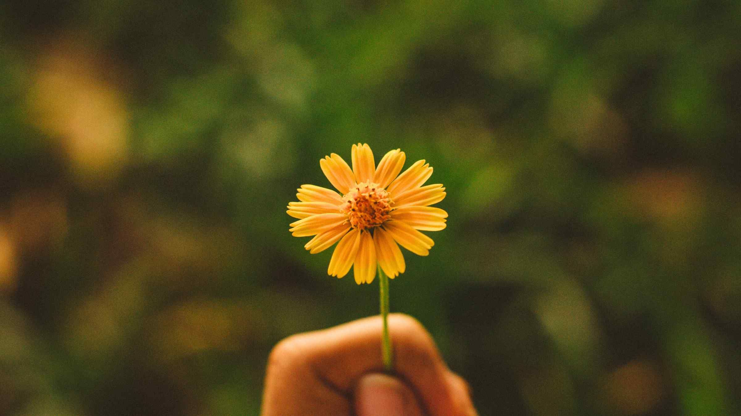 Secrets of Soul Success
