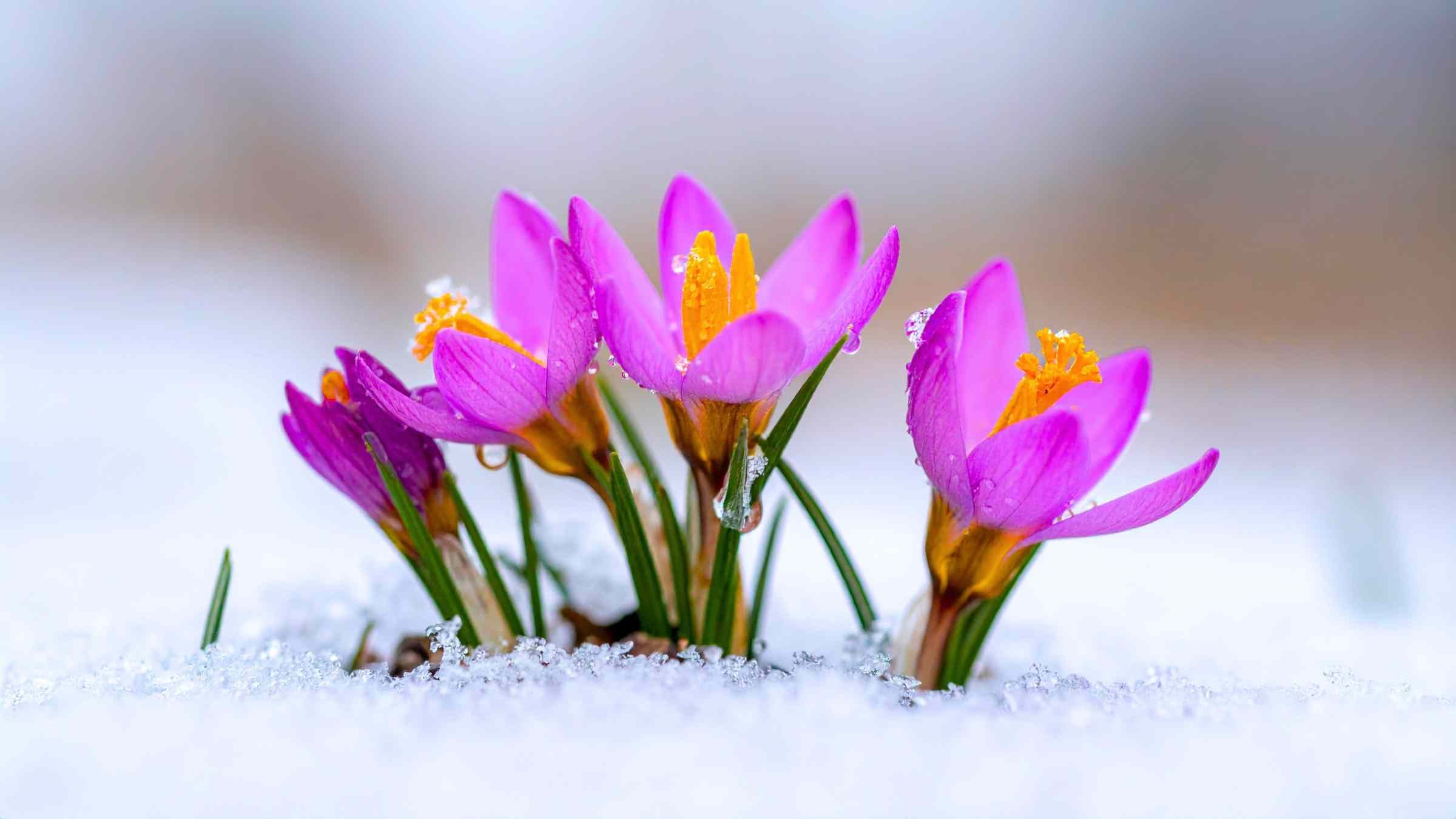 Don't Argue with Life: Use It to Awaken