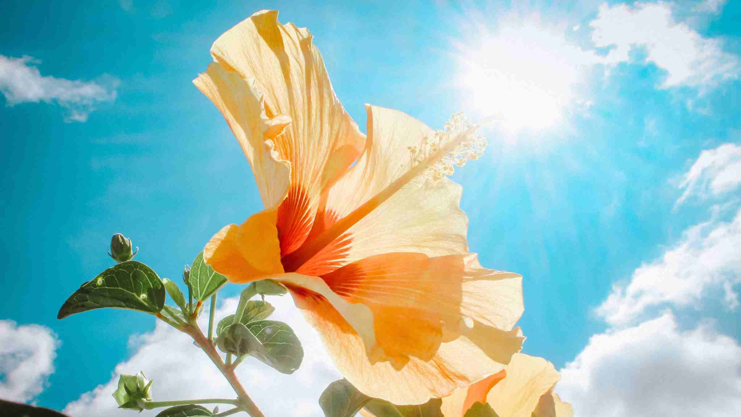 Open Your Heart and Let the Light of Life In