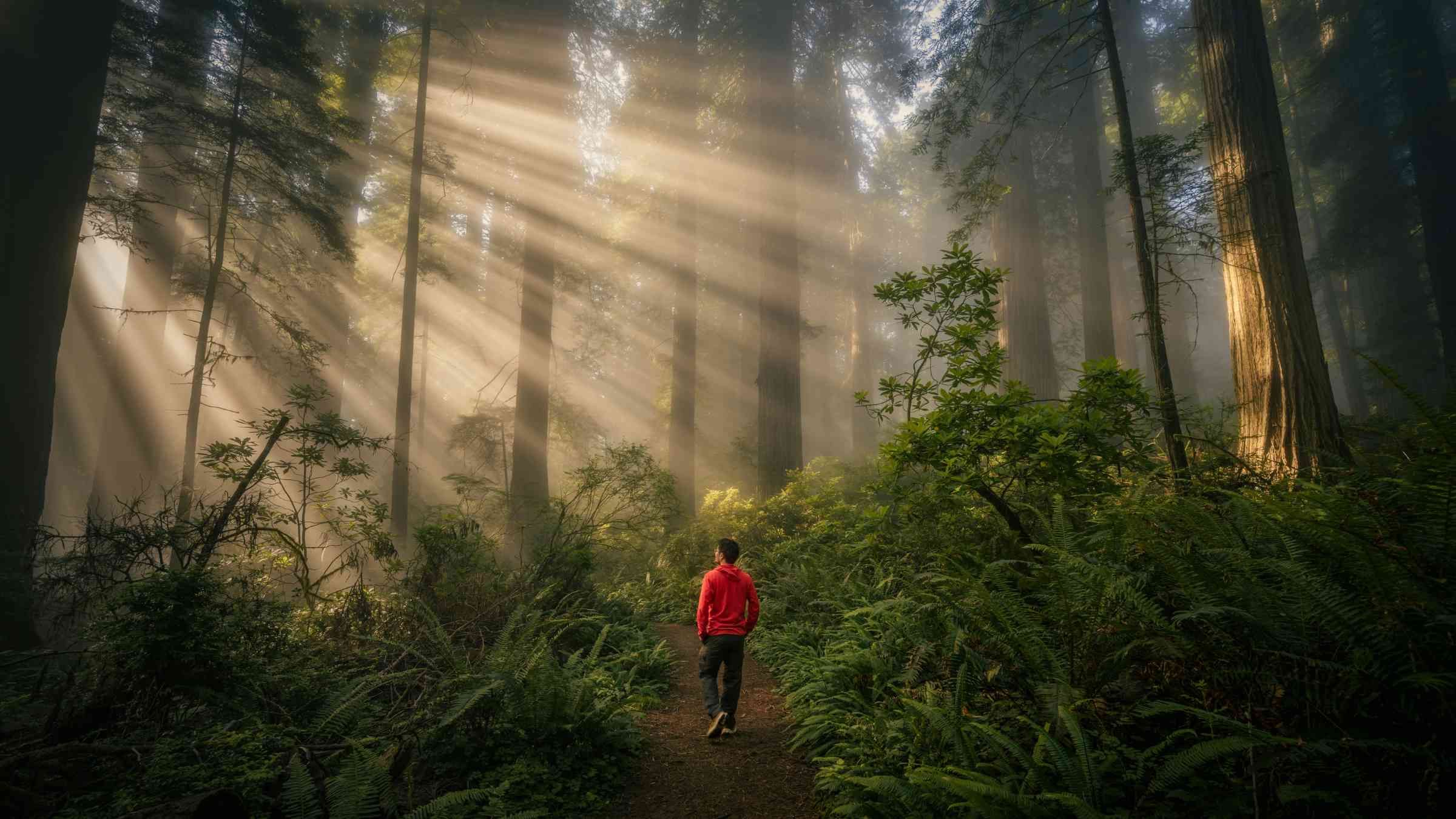 Eight Steps to Inner Success