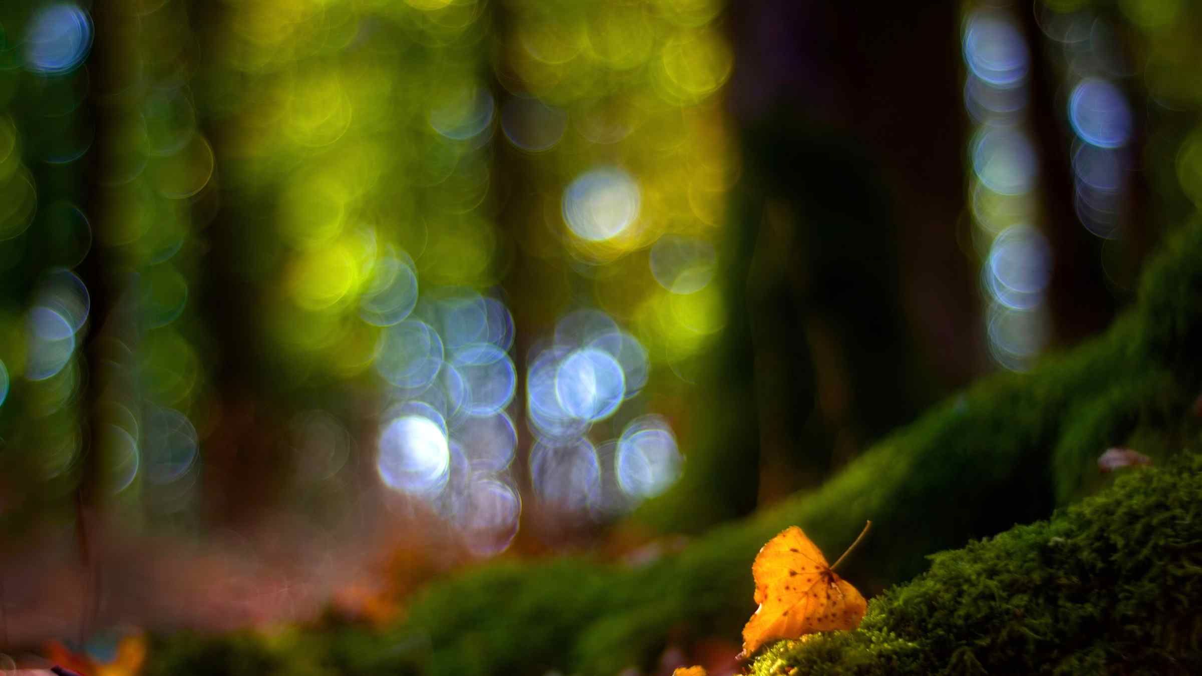 Secrets of the Path to Perfect Love