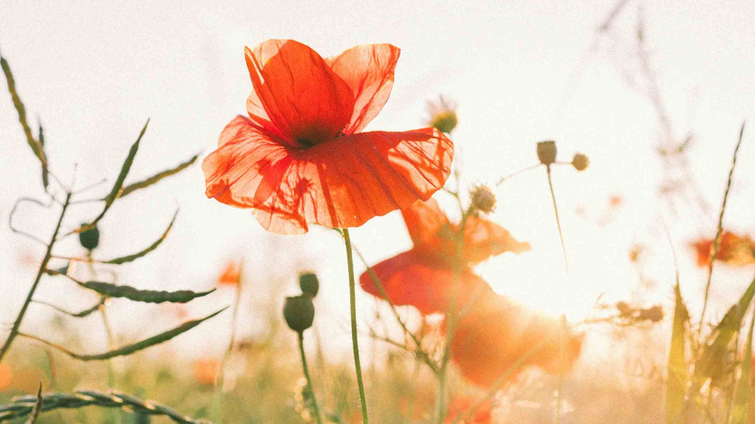 10 Ways to Increase Your Spiritual Strength