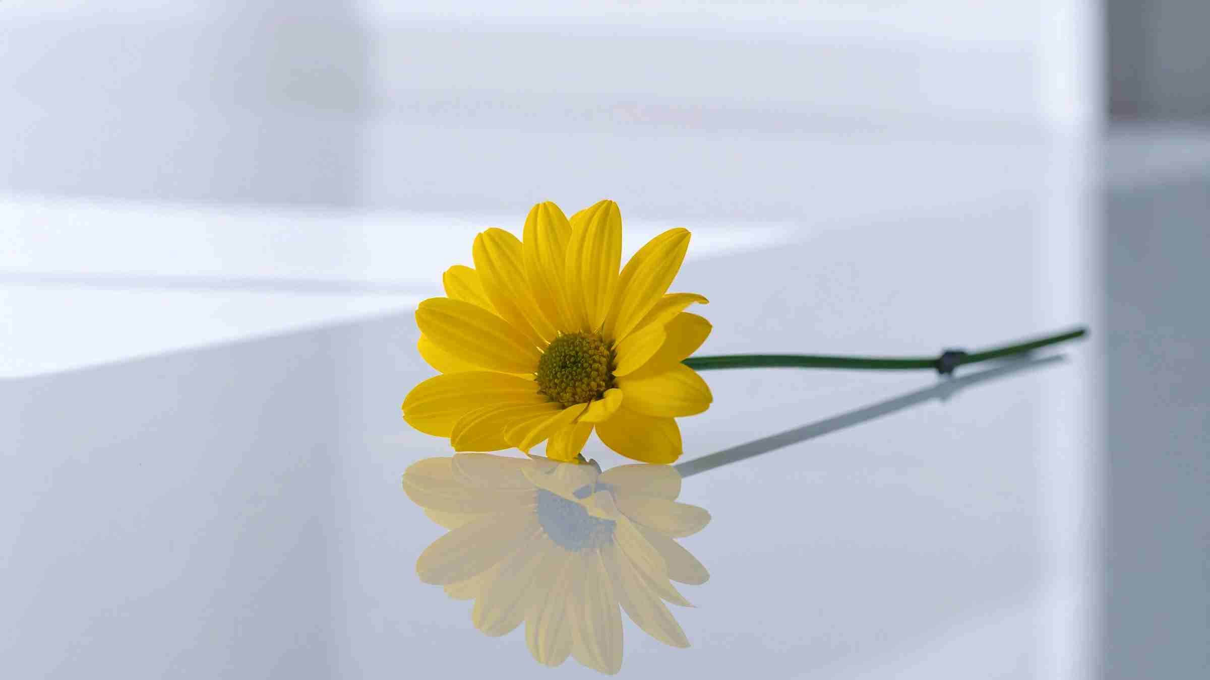 The Happiness of Wholeness