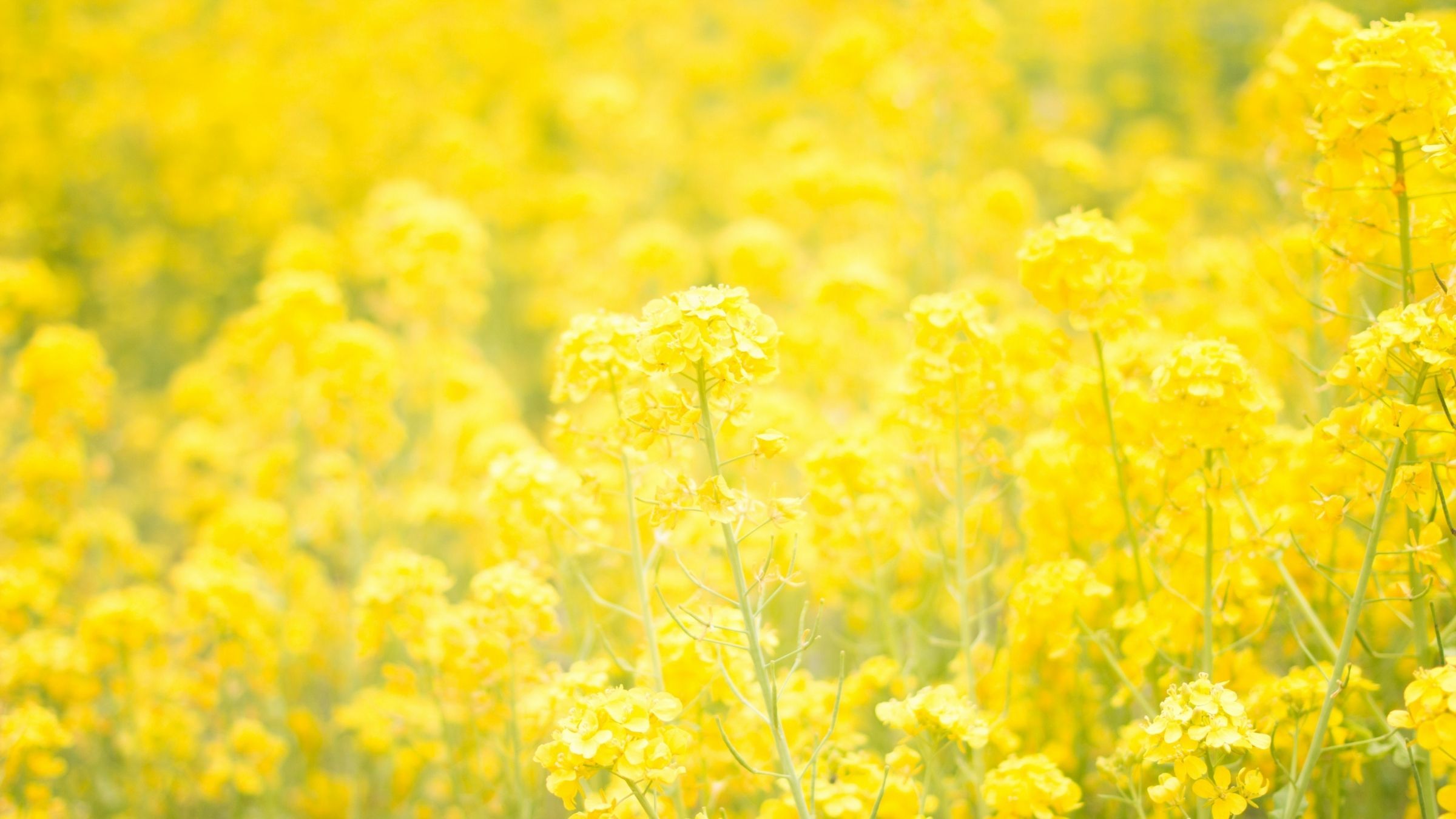 A Bright Lesson to Help You Make a New Beginning